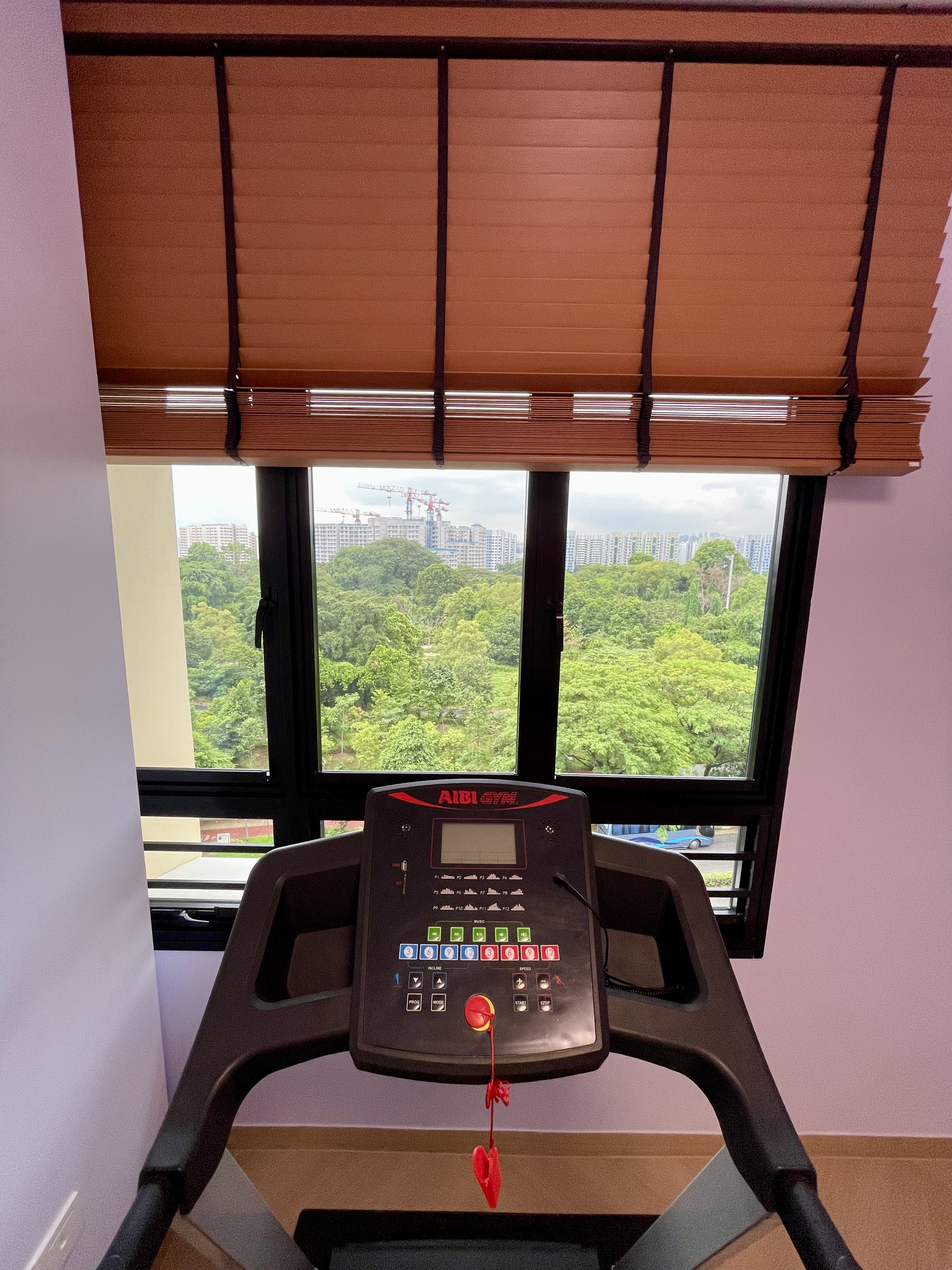 Our-Workout-Corner:-Exercising-With-A-Greenery-View-🏃🏻‍♂️🏃🏻‍♀️🌳🌿