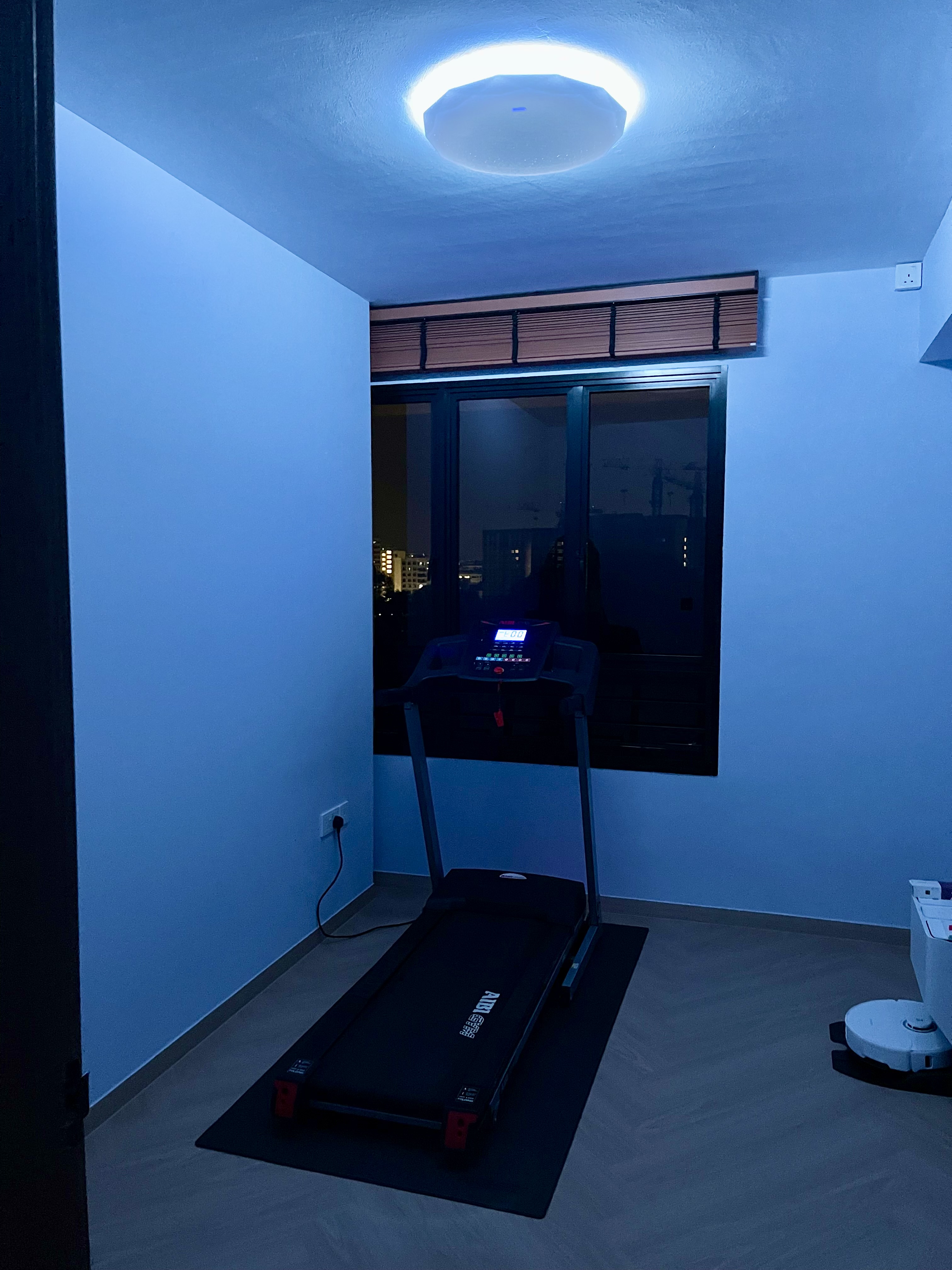 Our Workout Corner: Exercising With A Greenery View 🏃🏻‍♂️🏃🏻‍♀️🌳🌿 - dimly lit room, treadmill, indoor exercise, black