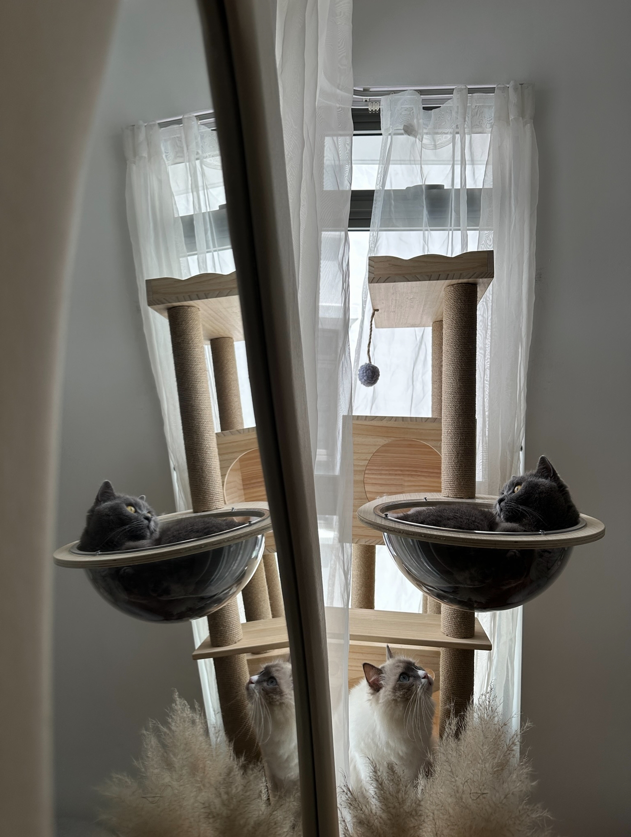 Our-Spare-Room:-Styling-It-Into-A-Cosy-&-Multifunctional-Space