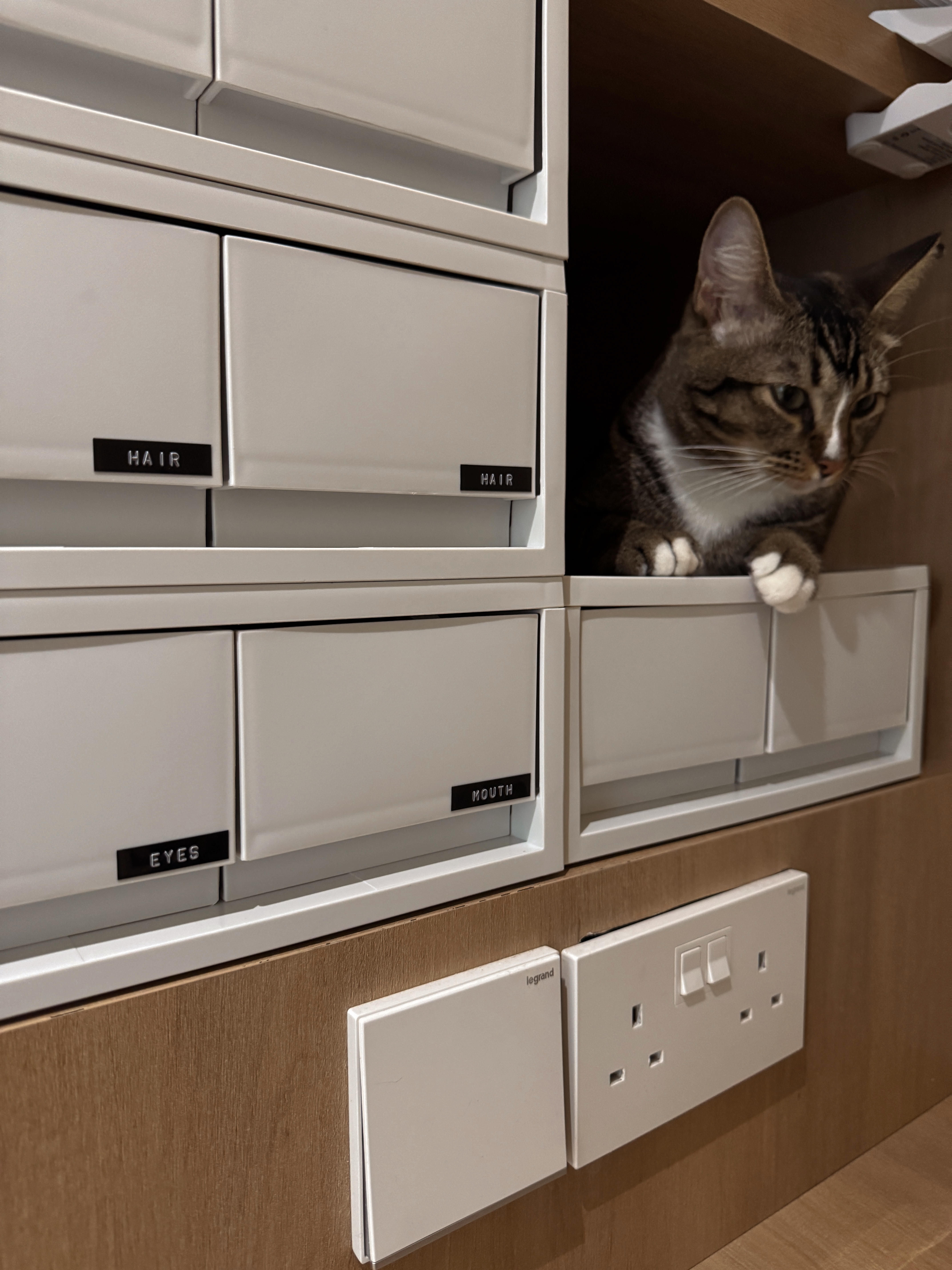 Home Organization We Love - White storage cabinet, drawers labeled "HAIR, " "EYES, " and "MOUTH, " interior view, cat peeking