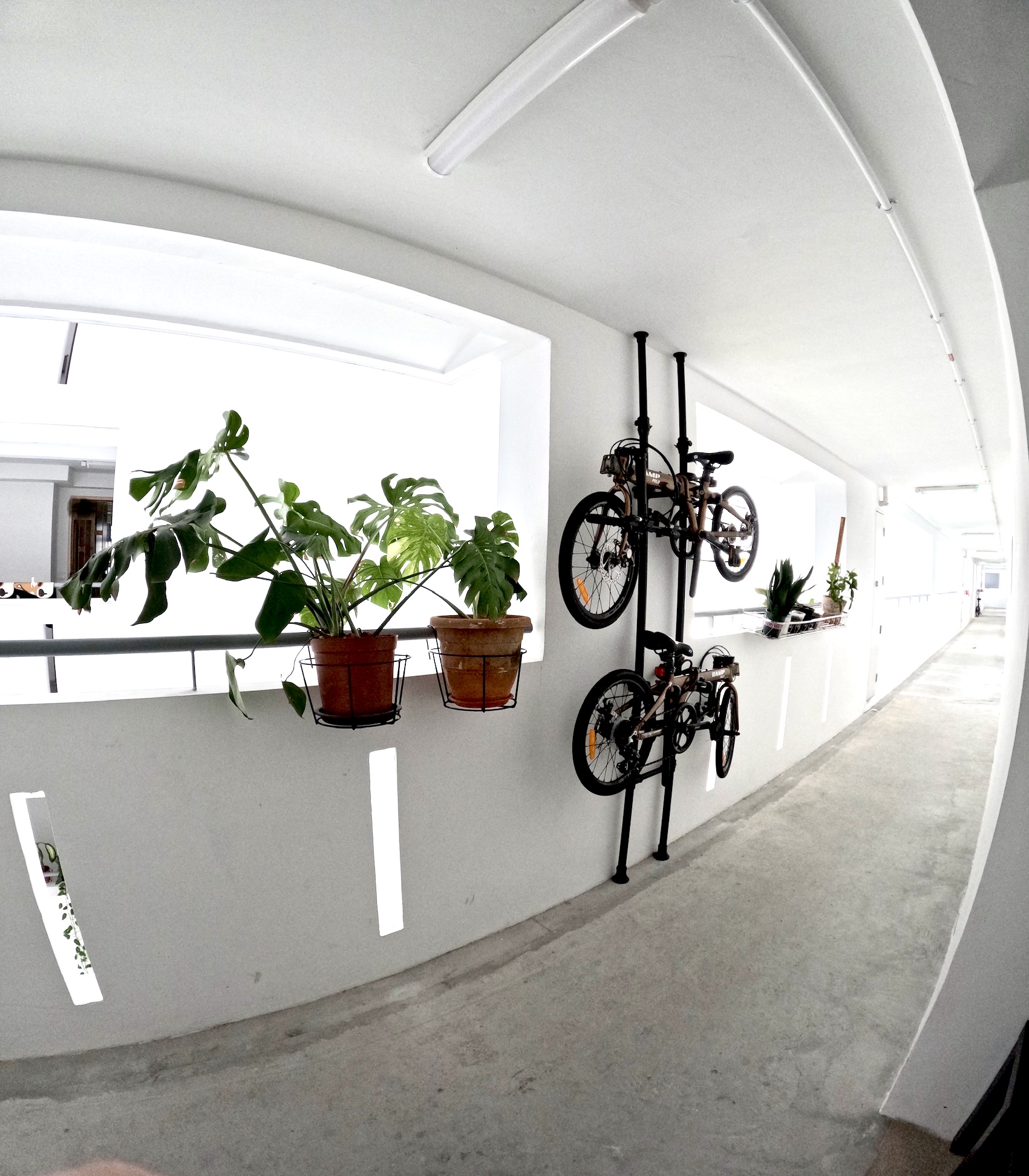 Urban Oasis: A Plant-Filled Corridor with a Bicycle Rack 🌿🚲 - Bicycle rack, hanging bicycles, indoor cycling, green plants