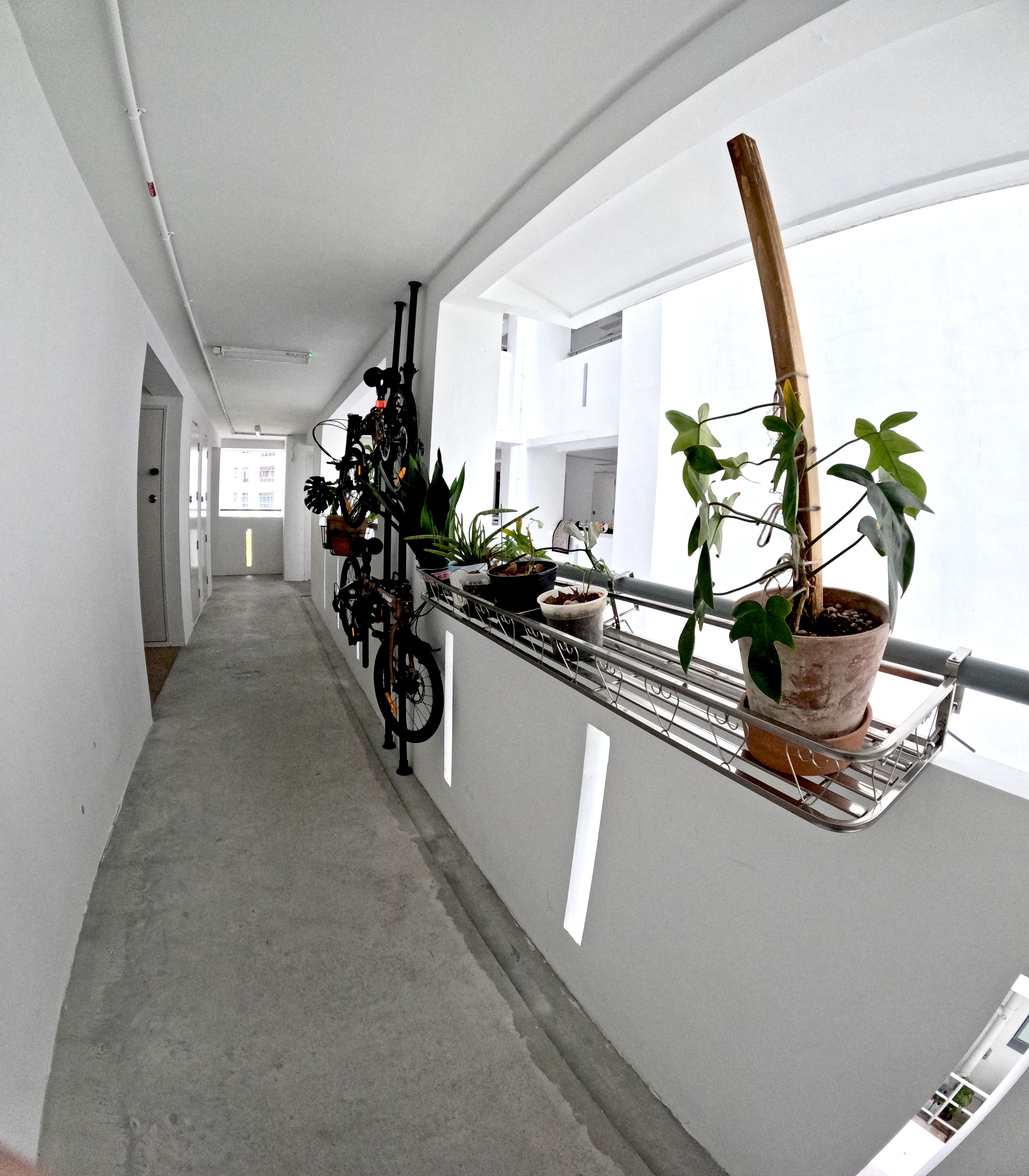 Urban Oasis: A Plant-Filled Corridor with a Bicycle Rack 🌿🚲 - white hallway, modern apartment, concrete floor, white walls