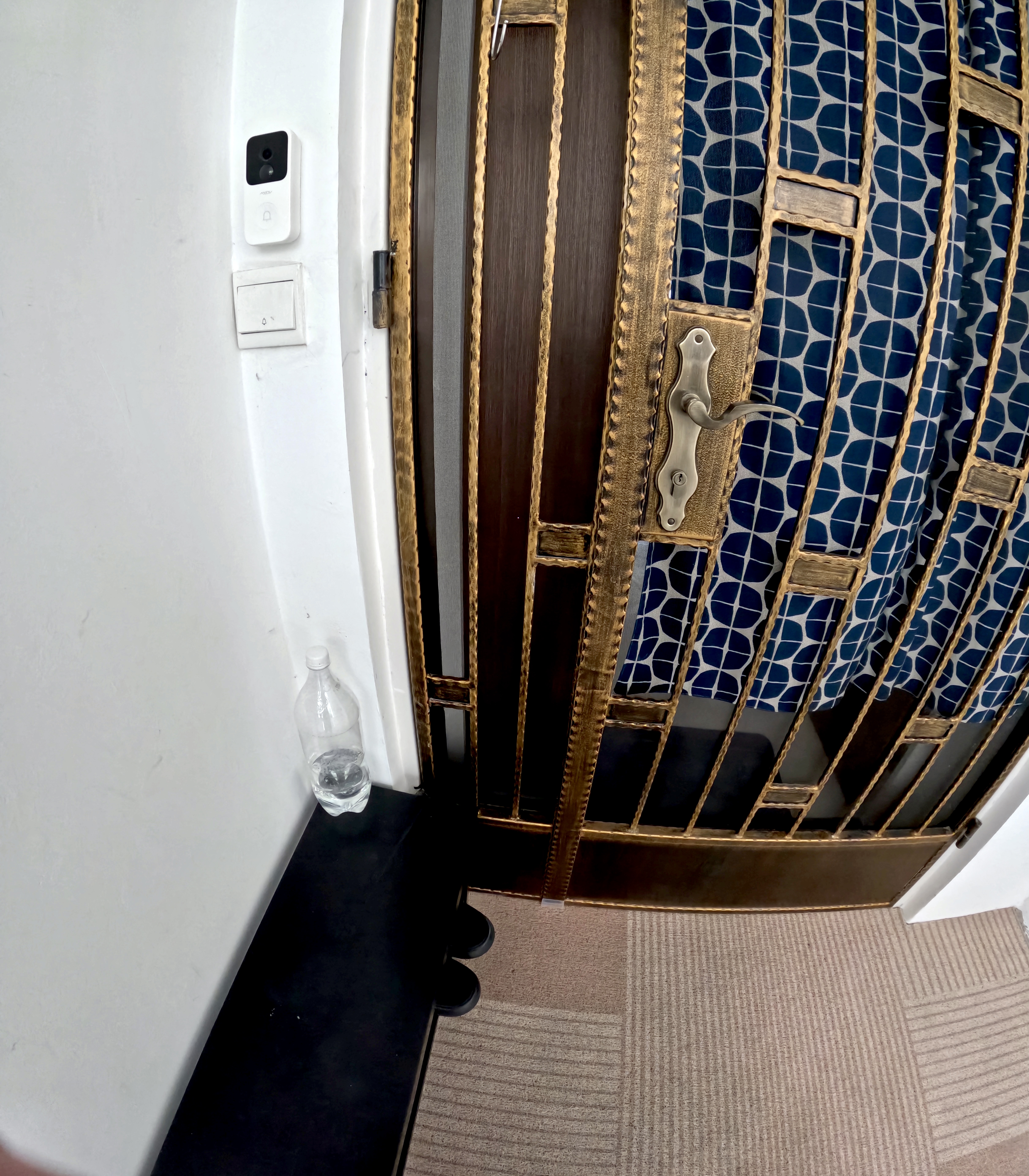 Urban Oasis: A Plant-Filled Corridor with a Bicycle Rack 🌿🚲 - Doorframe with glass panels, blue and white patterned