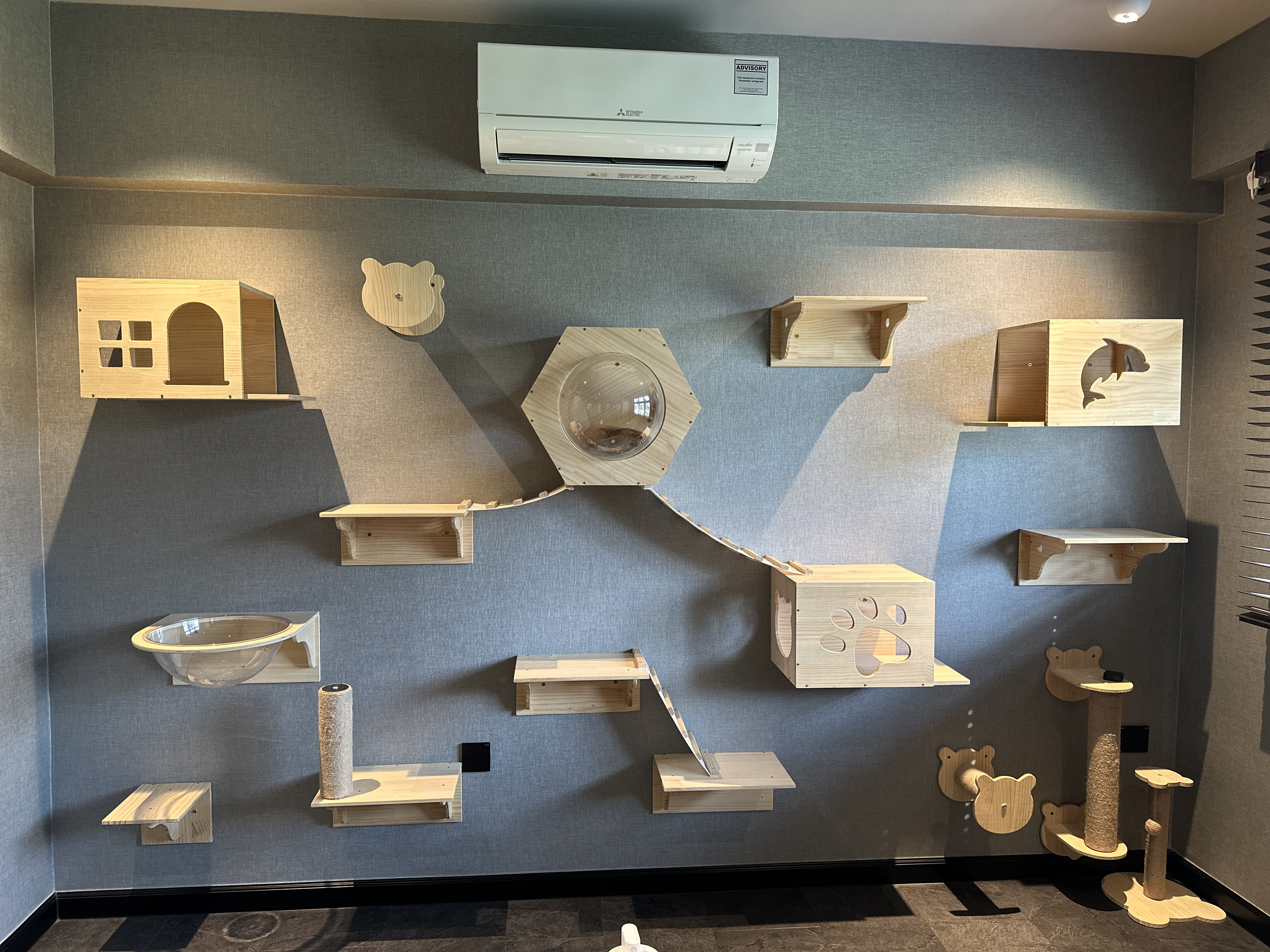 Our-Cats'-Private-Haven:-A-Room-Tailored-for-Their-Comfort