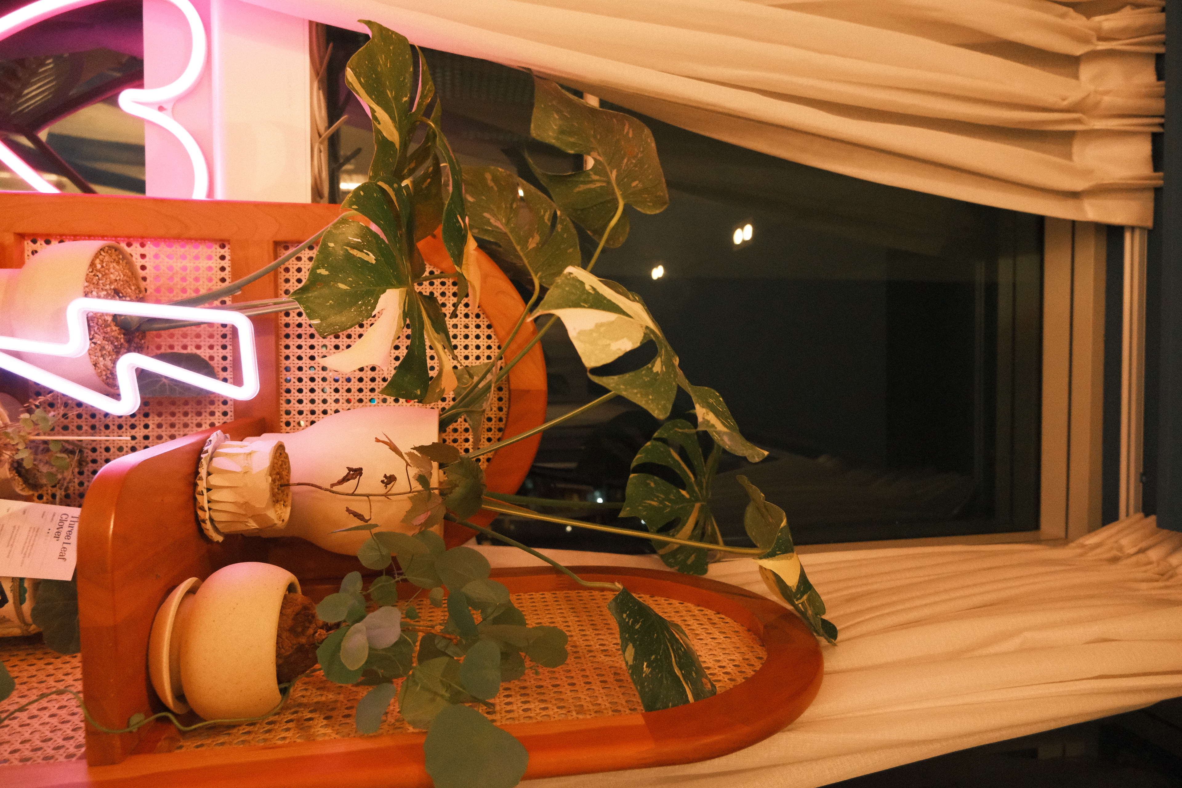 Come check out a CALMING OASIS that will melt away all your worries - Neon sign, indoor setting, potted plant, green leaves
