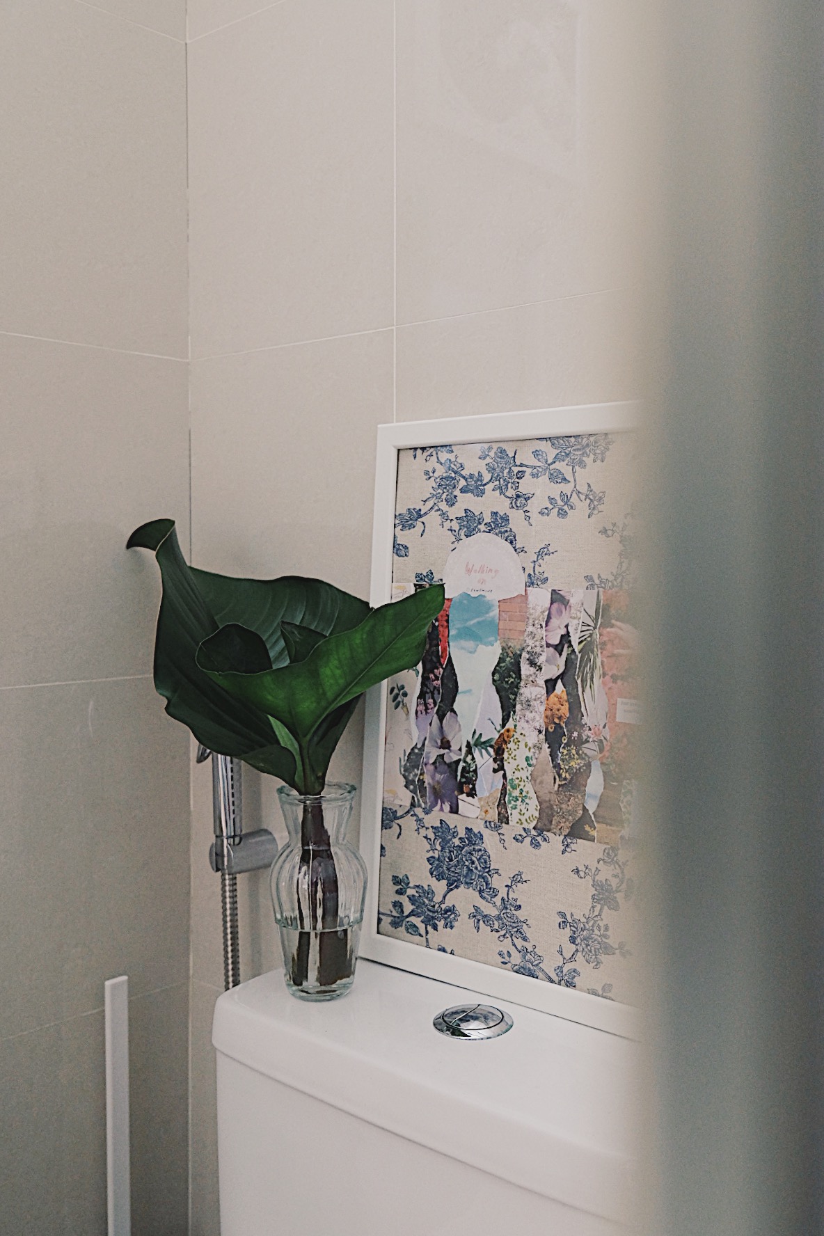 He promised her a Forest: Bits of green in every corner of our home - vibrant green leafy plant, white ceramic toilet, blue