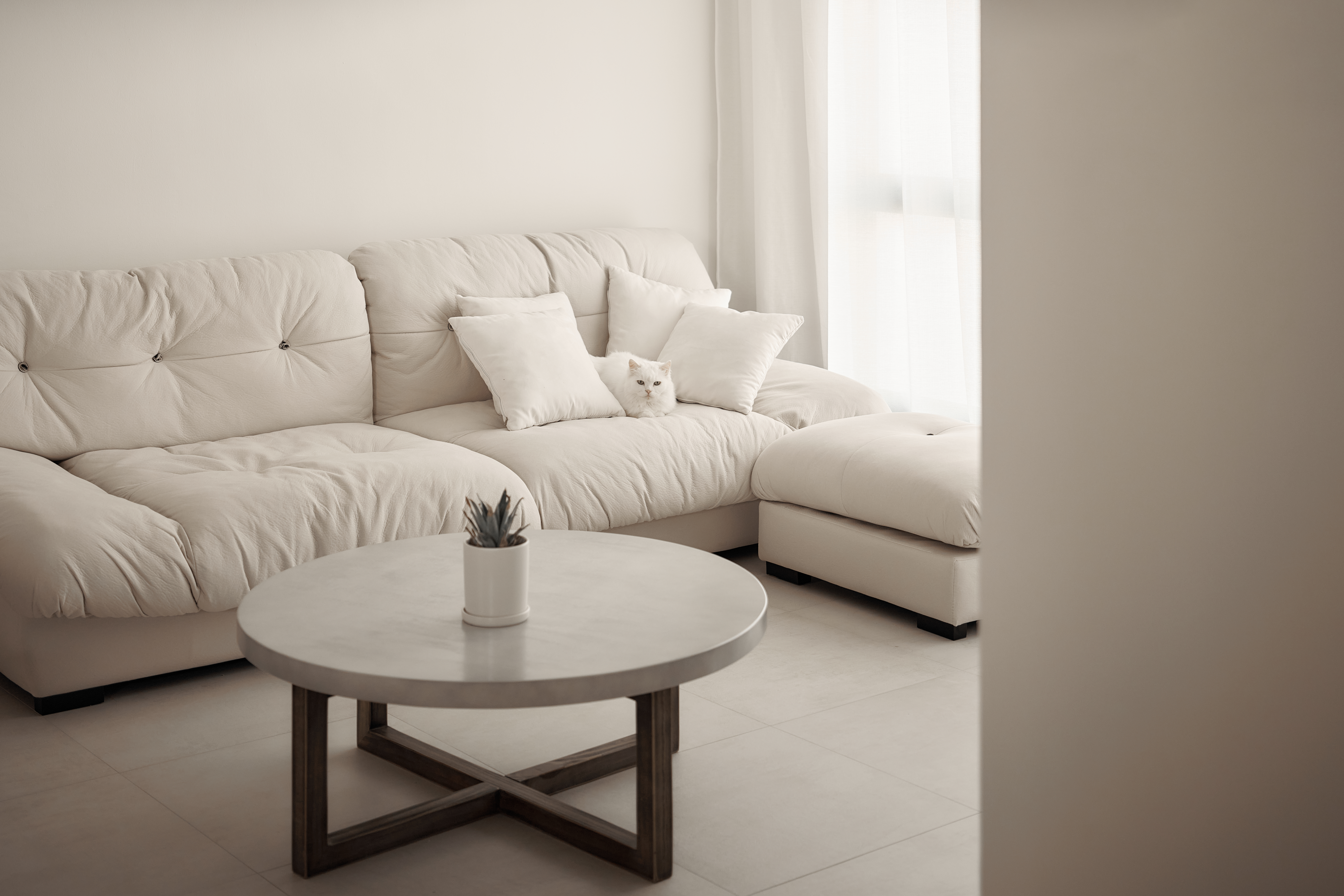 A Scandinavian-Inspired Haven of Modern Elegance - Minimalist living room, cozy sofa, white cushions, soft lighting, modern