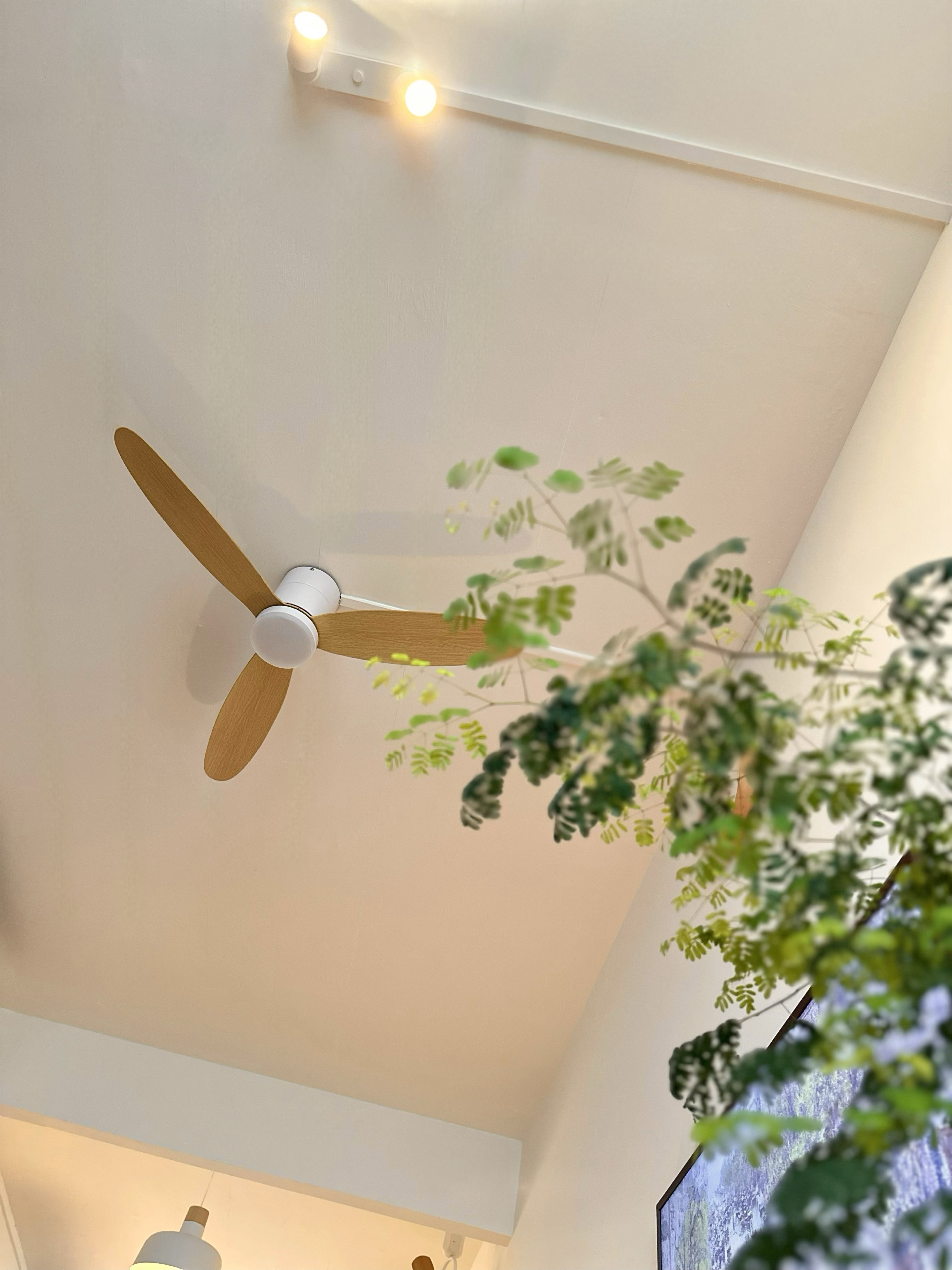 A Cosy & Warm Japandi-Inspired Living Room under $5K with No Built-in! - ceiling fan, ceiling light, recessed lighting