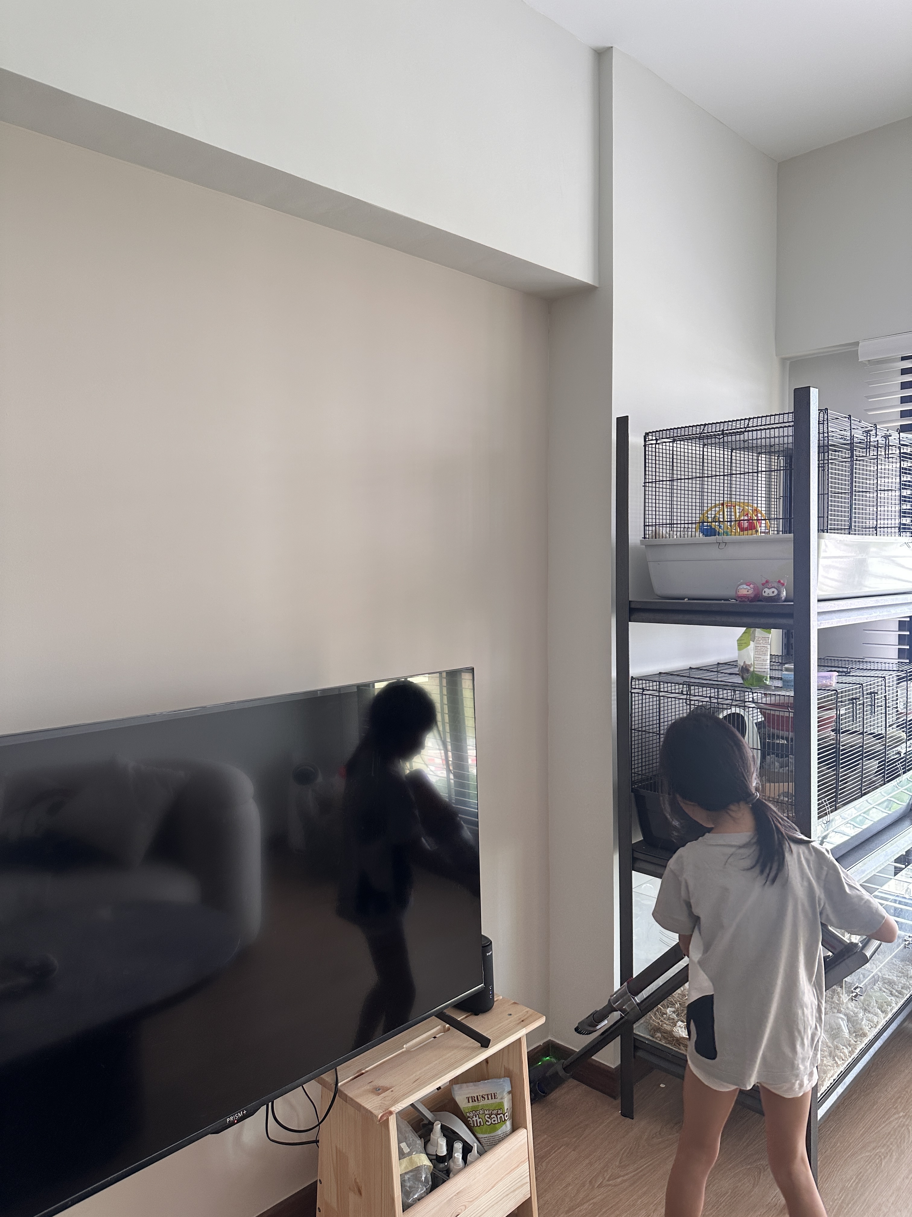 Living Room with No Built-ins | Modern Minimalist in the East <$40K - Cage, pet, TV, room, woman, standing, shelf, cage