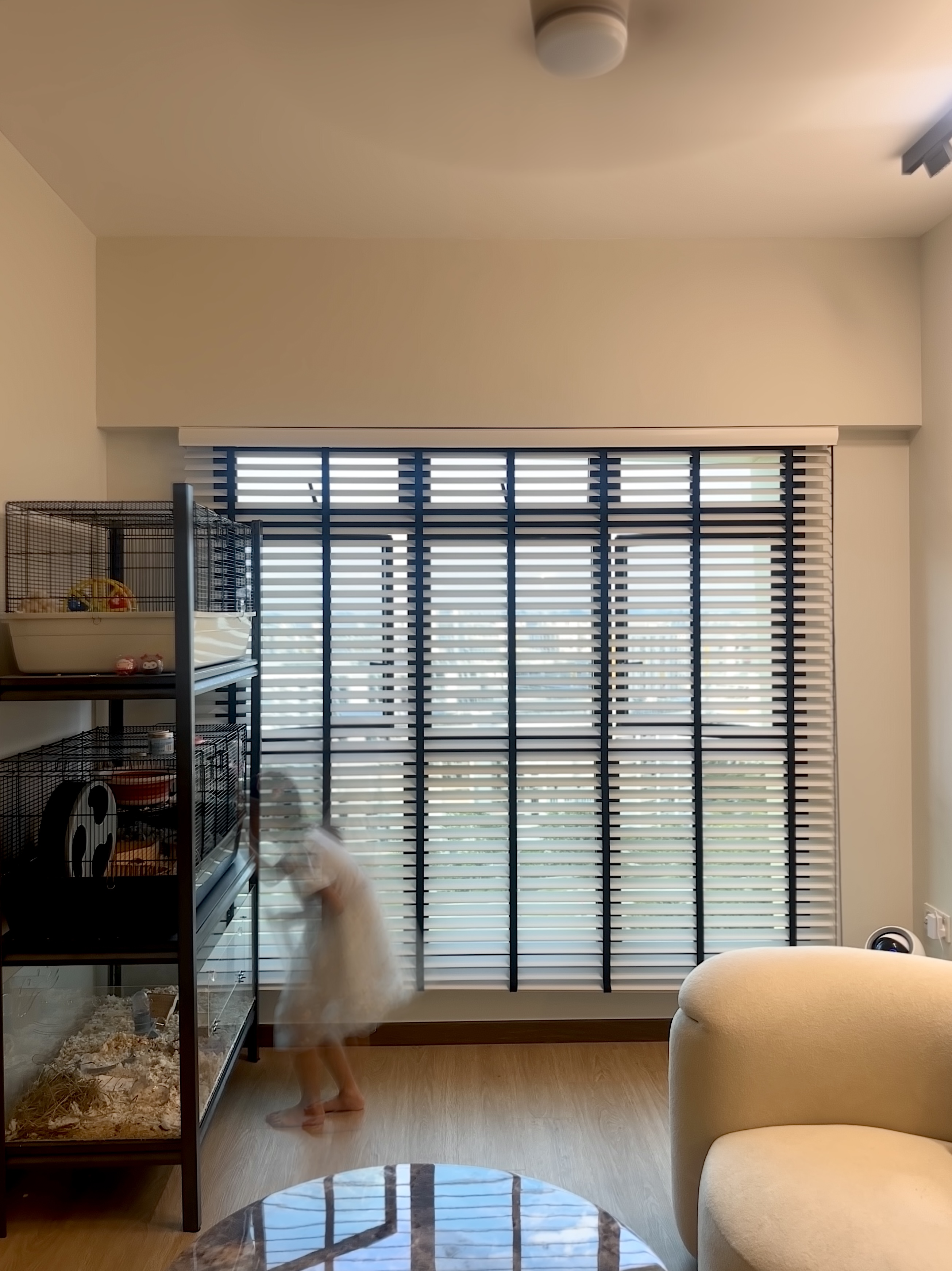 Living Room with No Built-ins | Modern Minimalist in the East <$40K - Cage, indoor, pet enclosure, bird cage, indoor pet