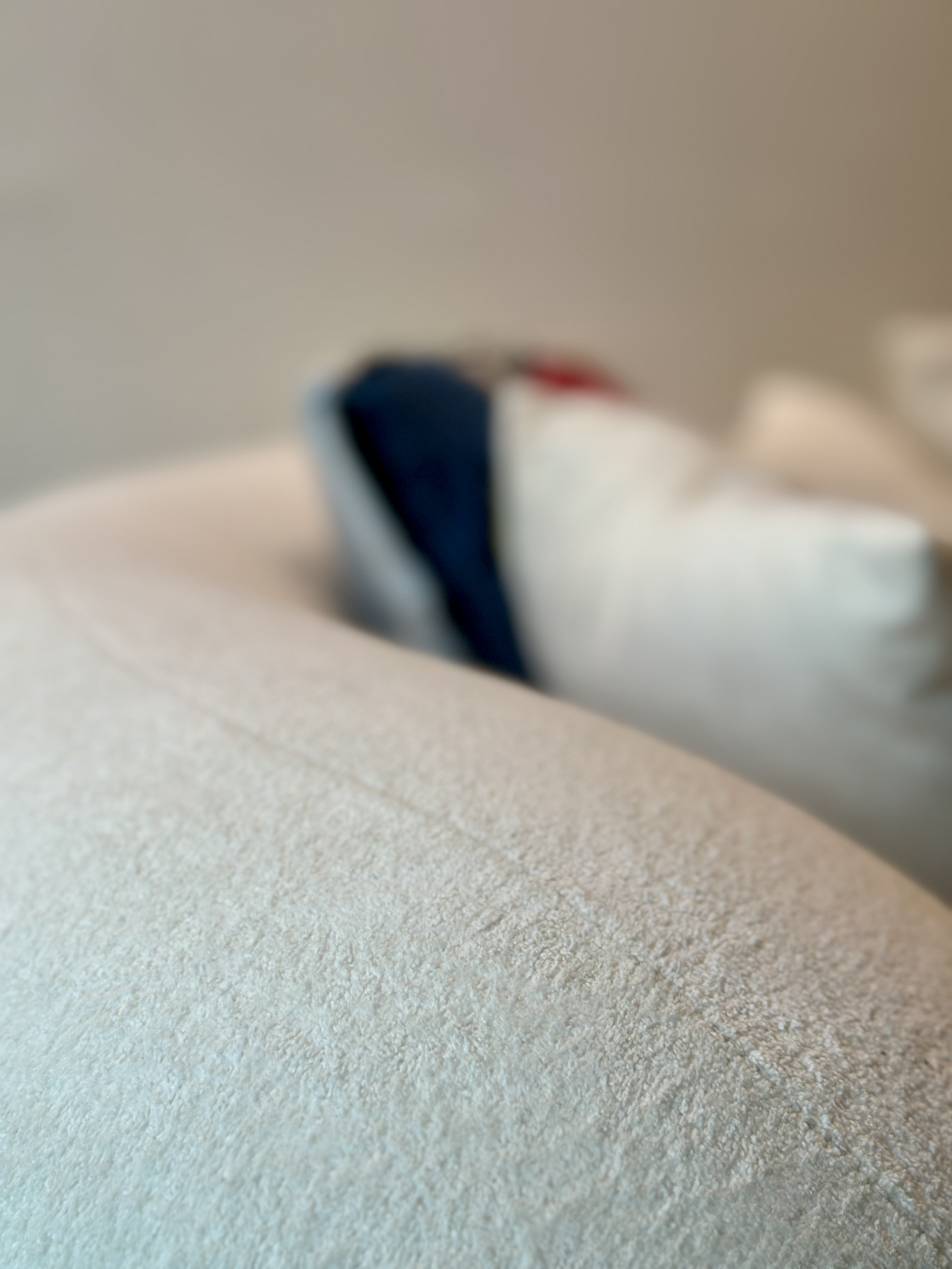 Living Room with No Built-ins | Modern Minimalist in the East <$40K - Soft, fluffy, white, textured, cozy, comfortable