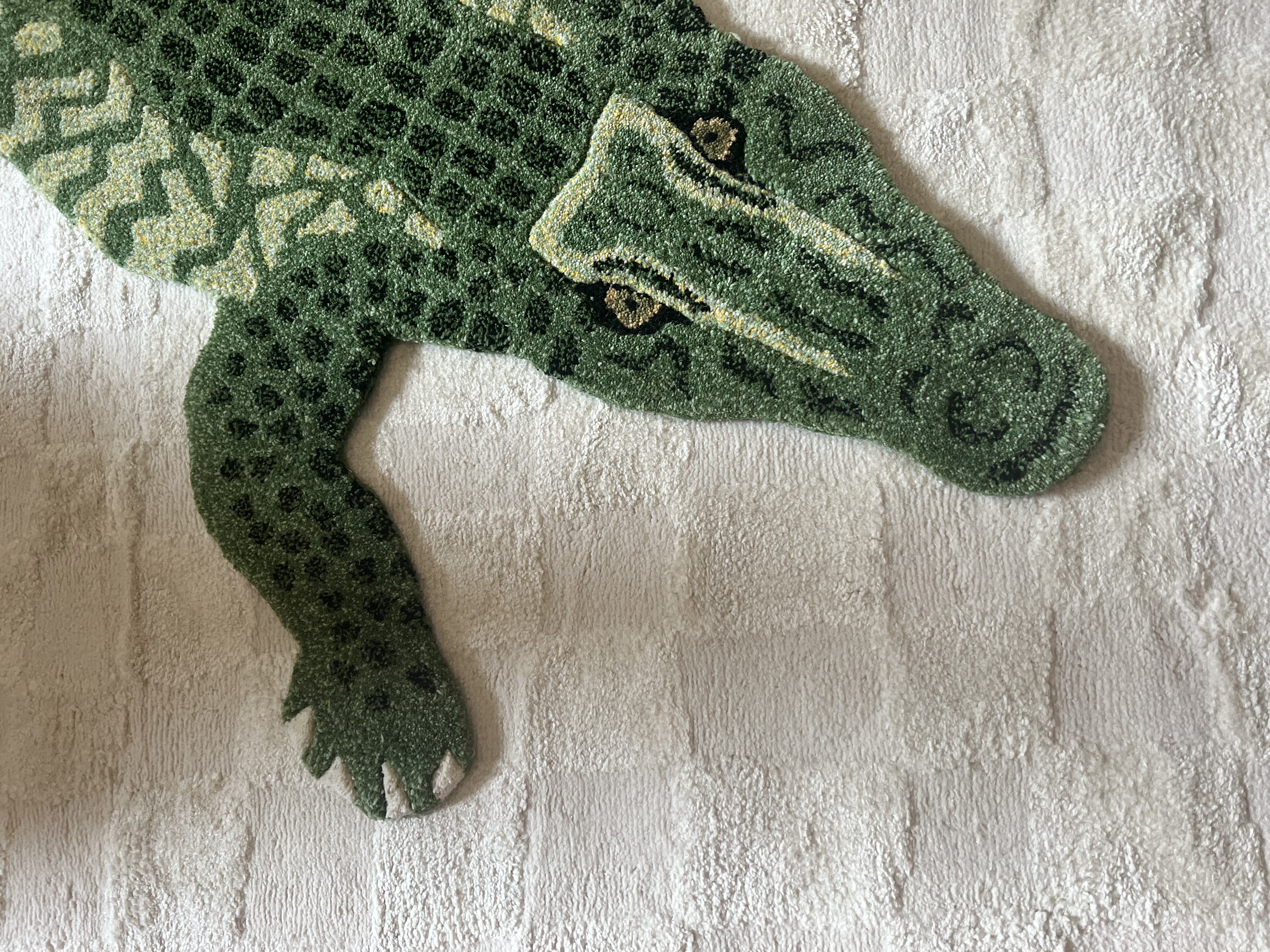 Hello Mr Crocodile! Toddler room at the ready! 🐊 - Green textured carpet with intricate patterns, white textured wall, plush