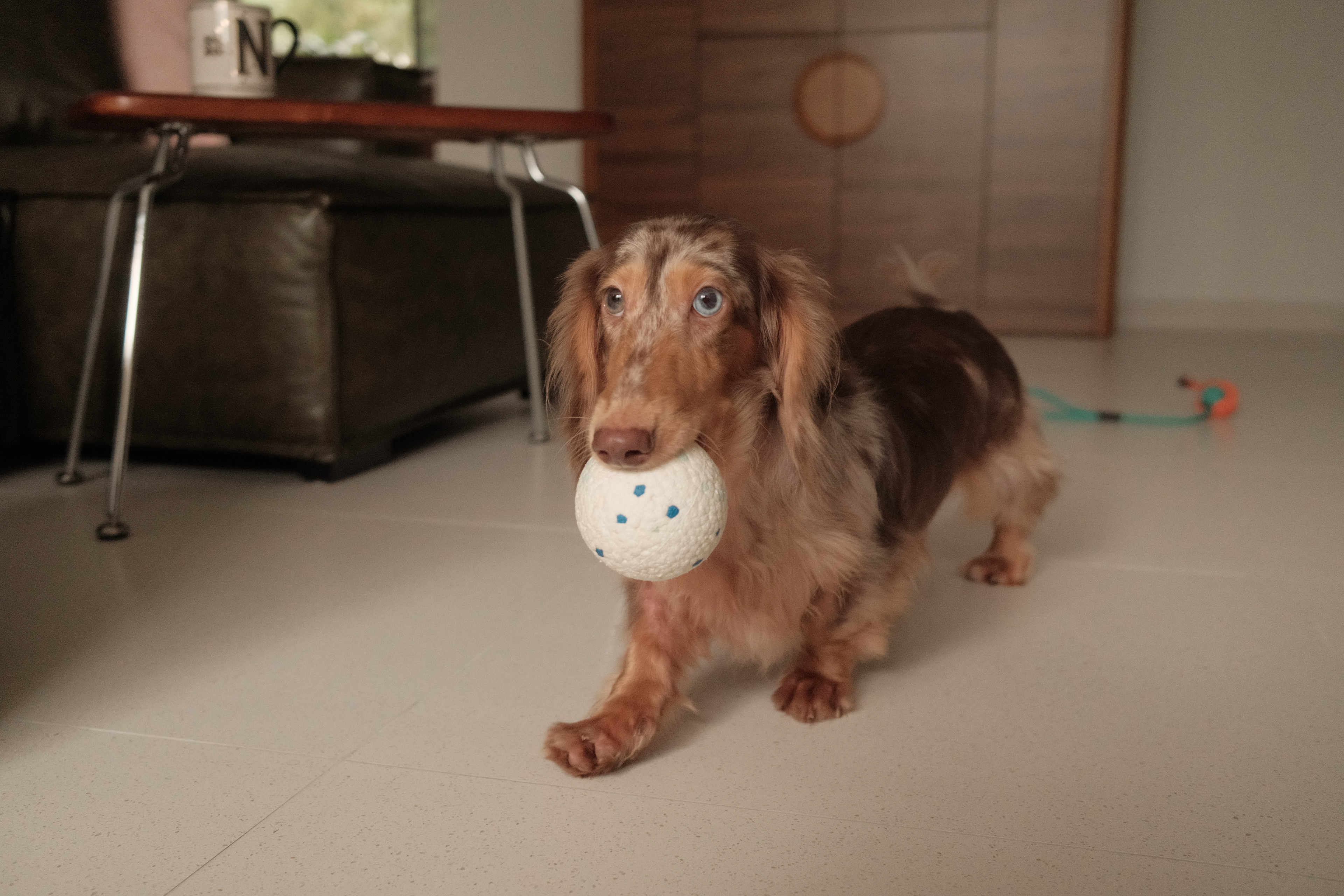 Bringing-Timeless-Charm-into-our-Mid-Century-Modern-Living-Room