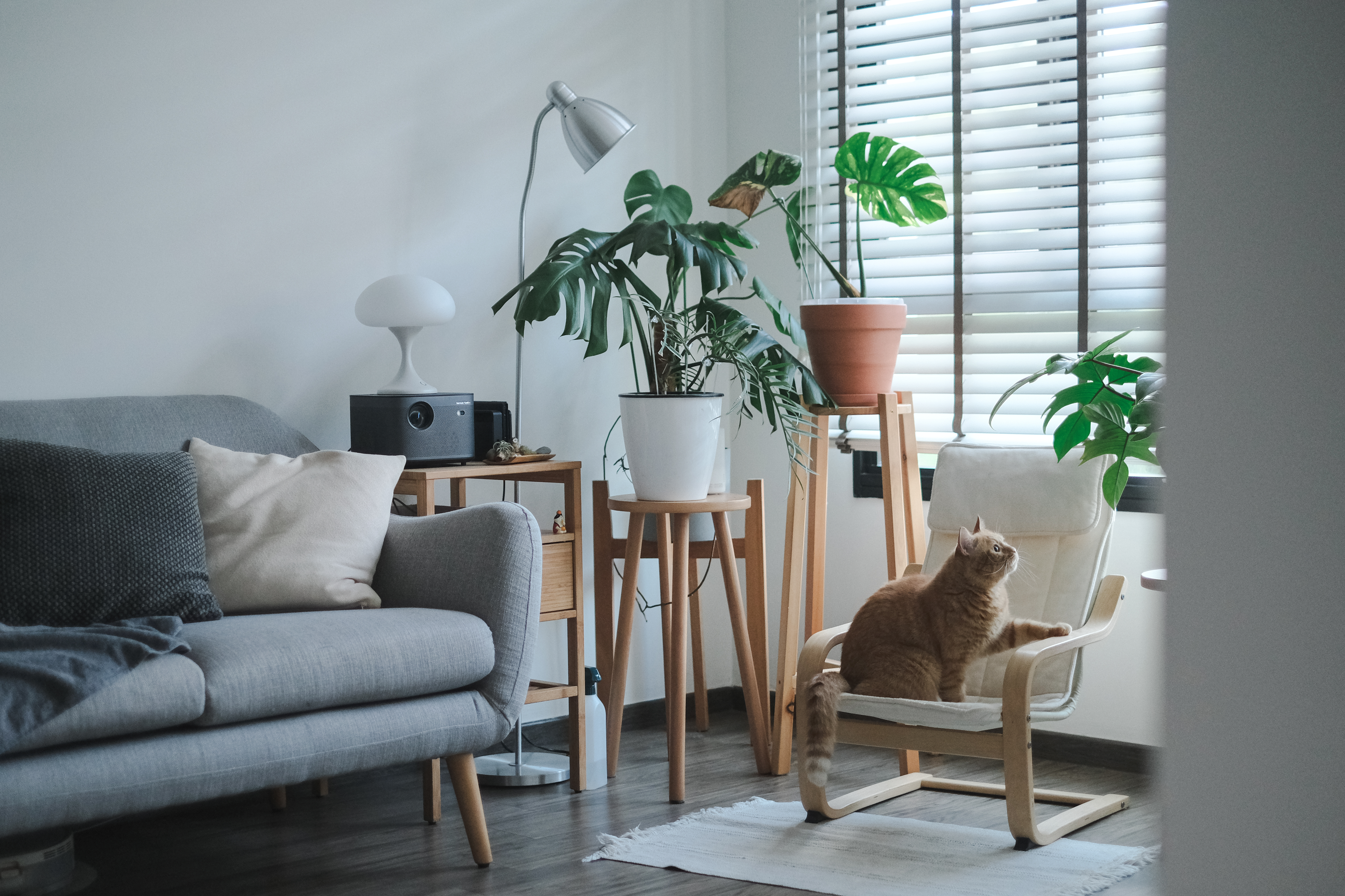 Living Room Tour: Spacious and Flexible for Easy Layout Changes! - Modern living room, cozy atmosphere, gray sofa, white