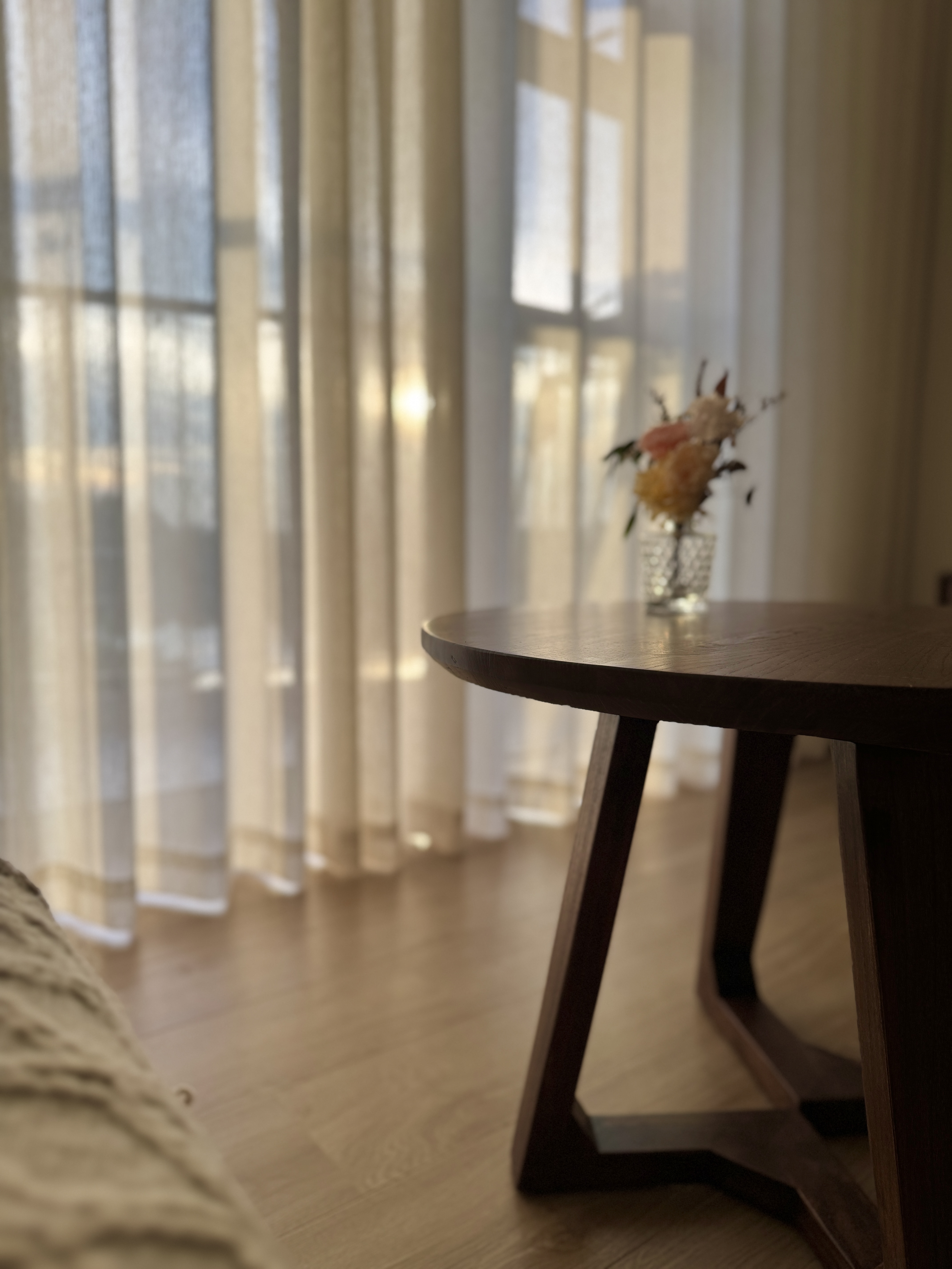 Embracing the Warmth: Our Living Room at Golden Hour  - Soft, natural light streaming through sheer curtains, warm wooden