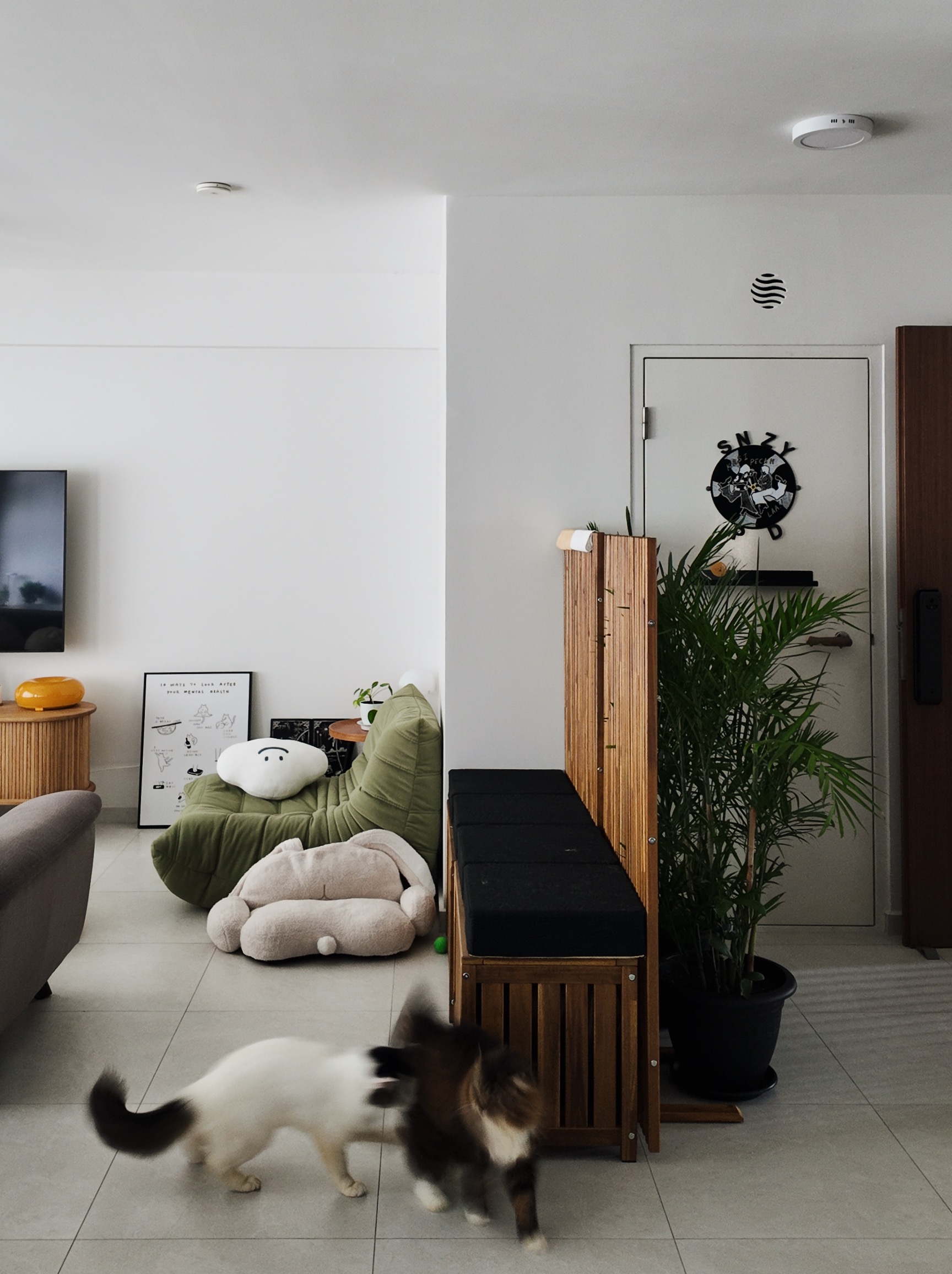 Cat-Friendly & Eclectic: Creating Comfort & Connection in Our 5rm BTO - Modern living room, cozy seating area, green bean bag