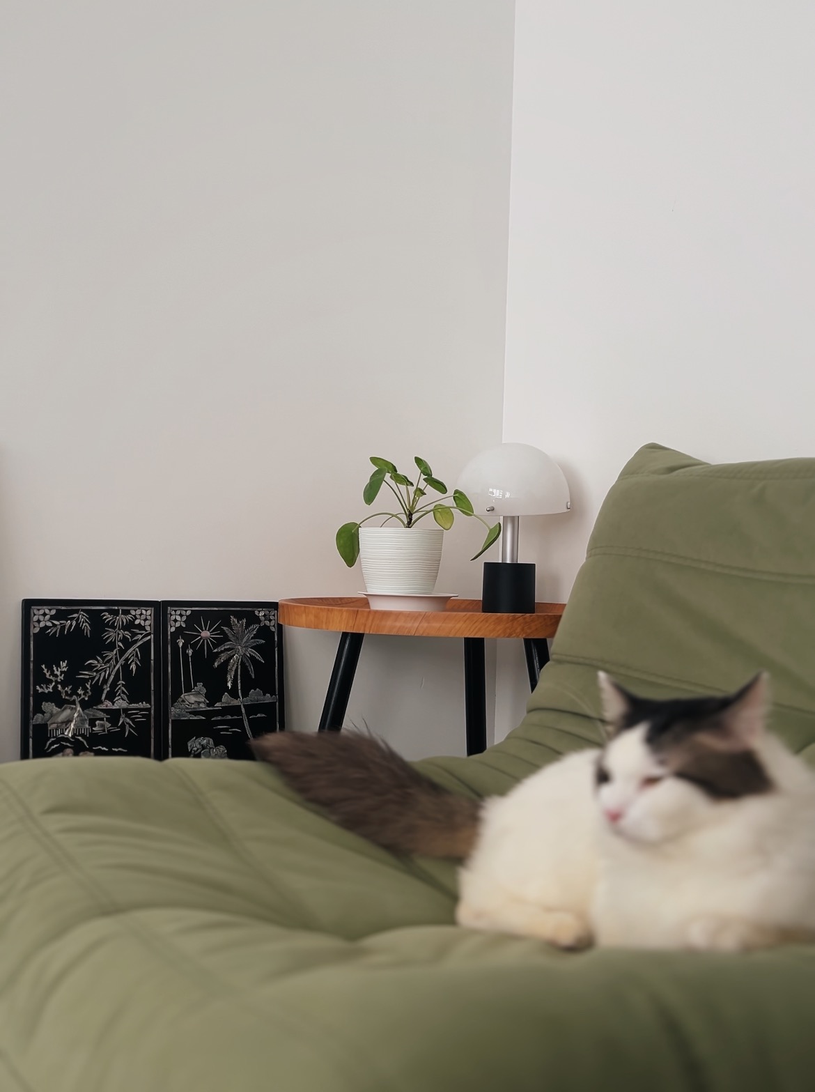 Cat-Friendly & Eclectic: Creating Comfort & Connection in Our 5rm BTO - Green couch, white and black cat, cozy room, indoor