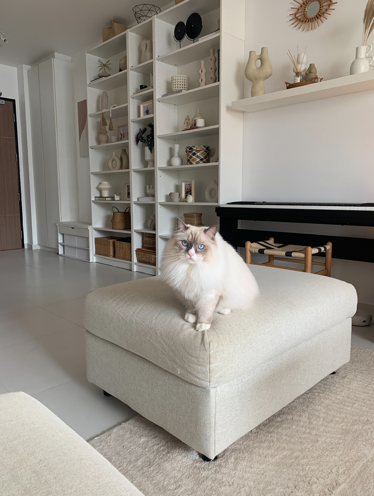 Before & After: Our Living Room During Different Eras Of Our Lives - White, fluffy, light-colored, long-haired, elegant