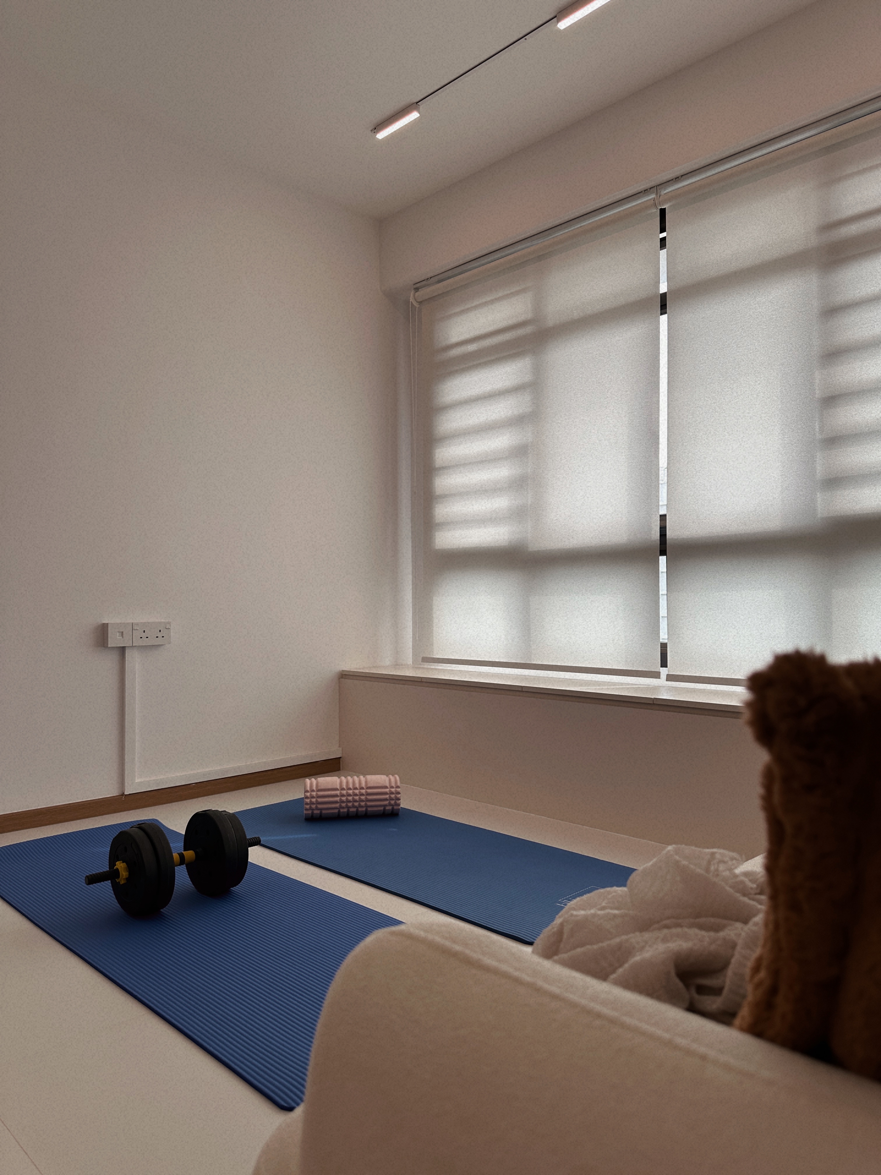 Our Cosy Minimalist Living Room: Where Endless Possibilities Unfold - blue exercise mat, dumbbell, yoga mat, exercise room