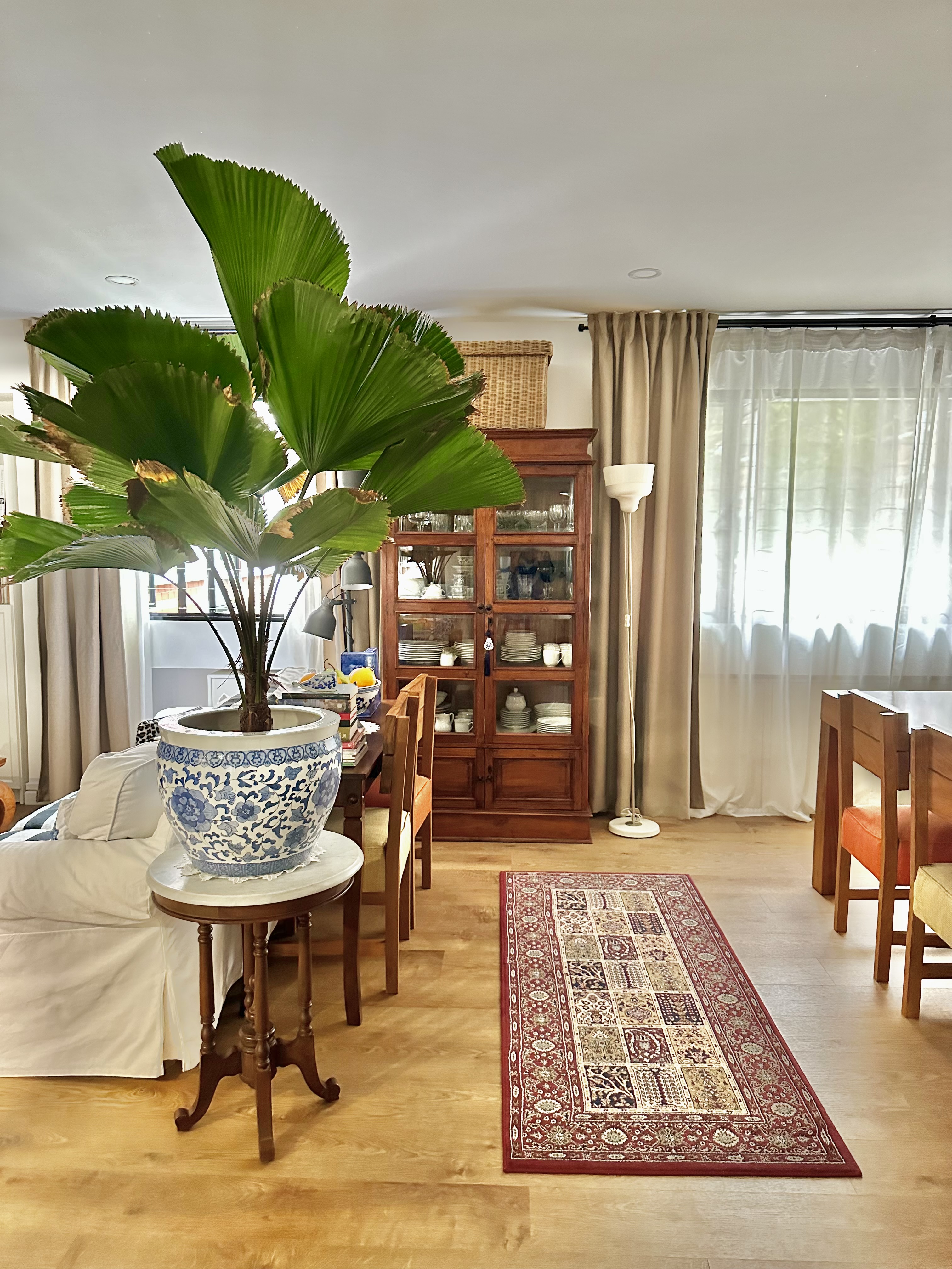 From Drab to Fab: Our Living Room Transformation  - Large green potted plant, wooden dining table, beige curtains, white