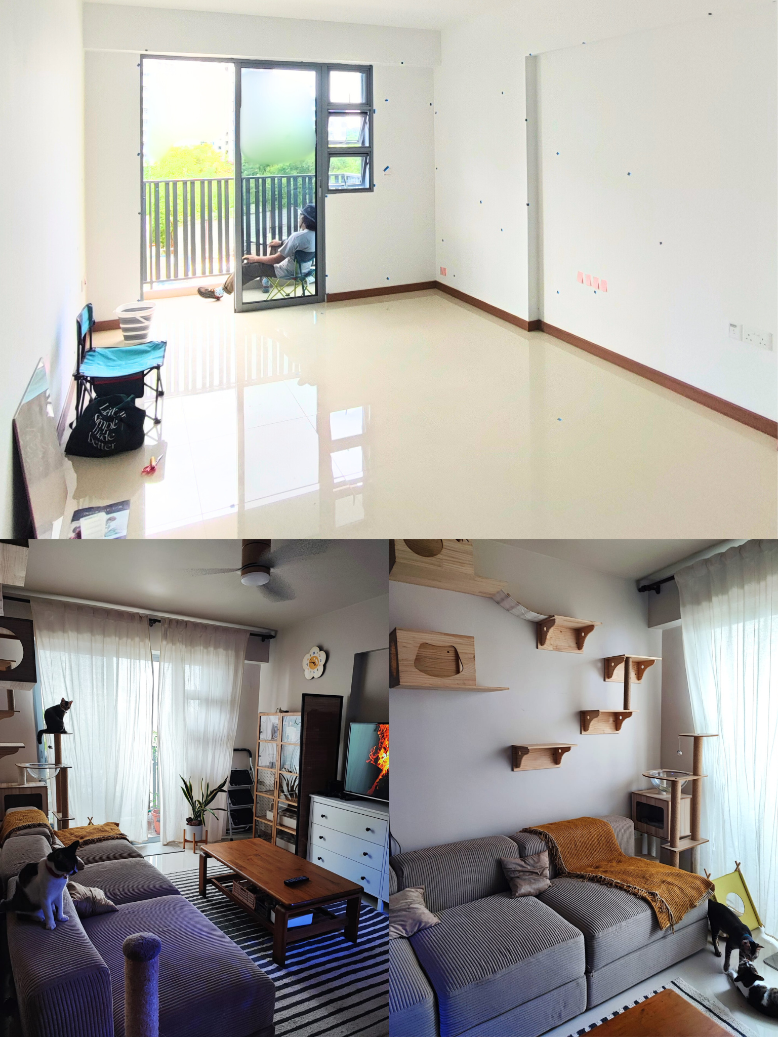 From Blank Canvas to Cosy Haven: A Simple Living Room Transformation - Modern living room with large windows, cat sitting on