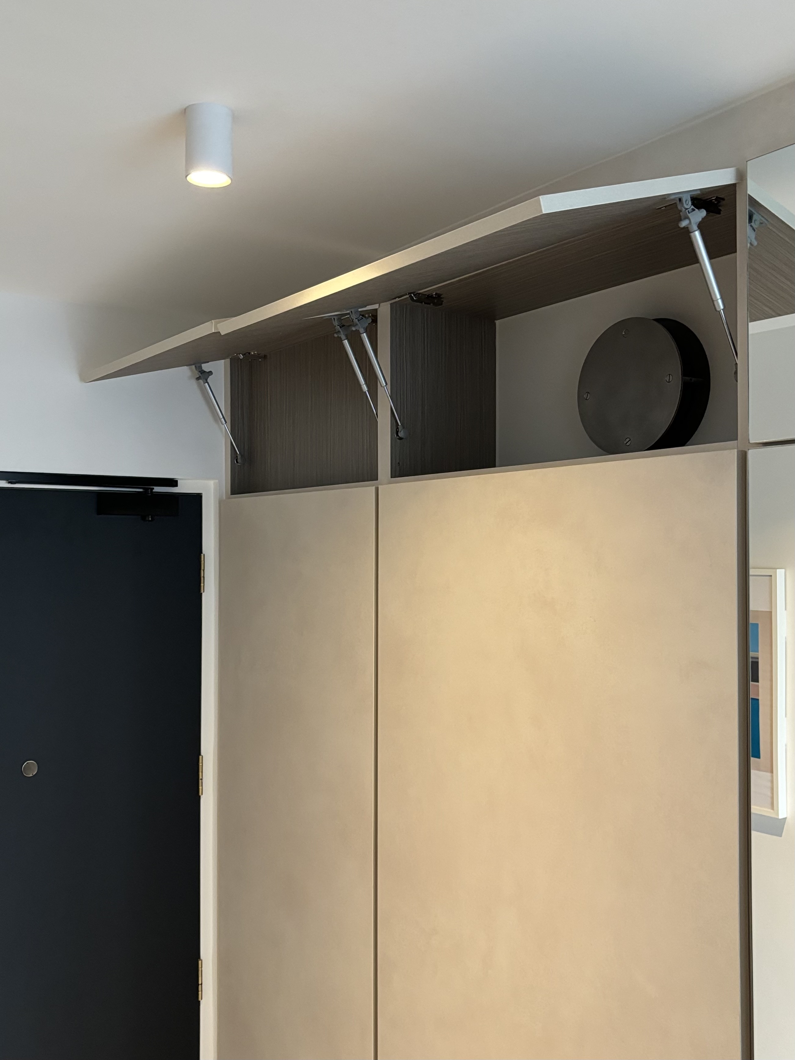 Entryway: Minimal look with concealed carpentry in a 4-rm BTO - Modern closet with adjustable shelves, sleek ceiling light
