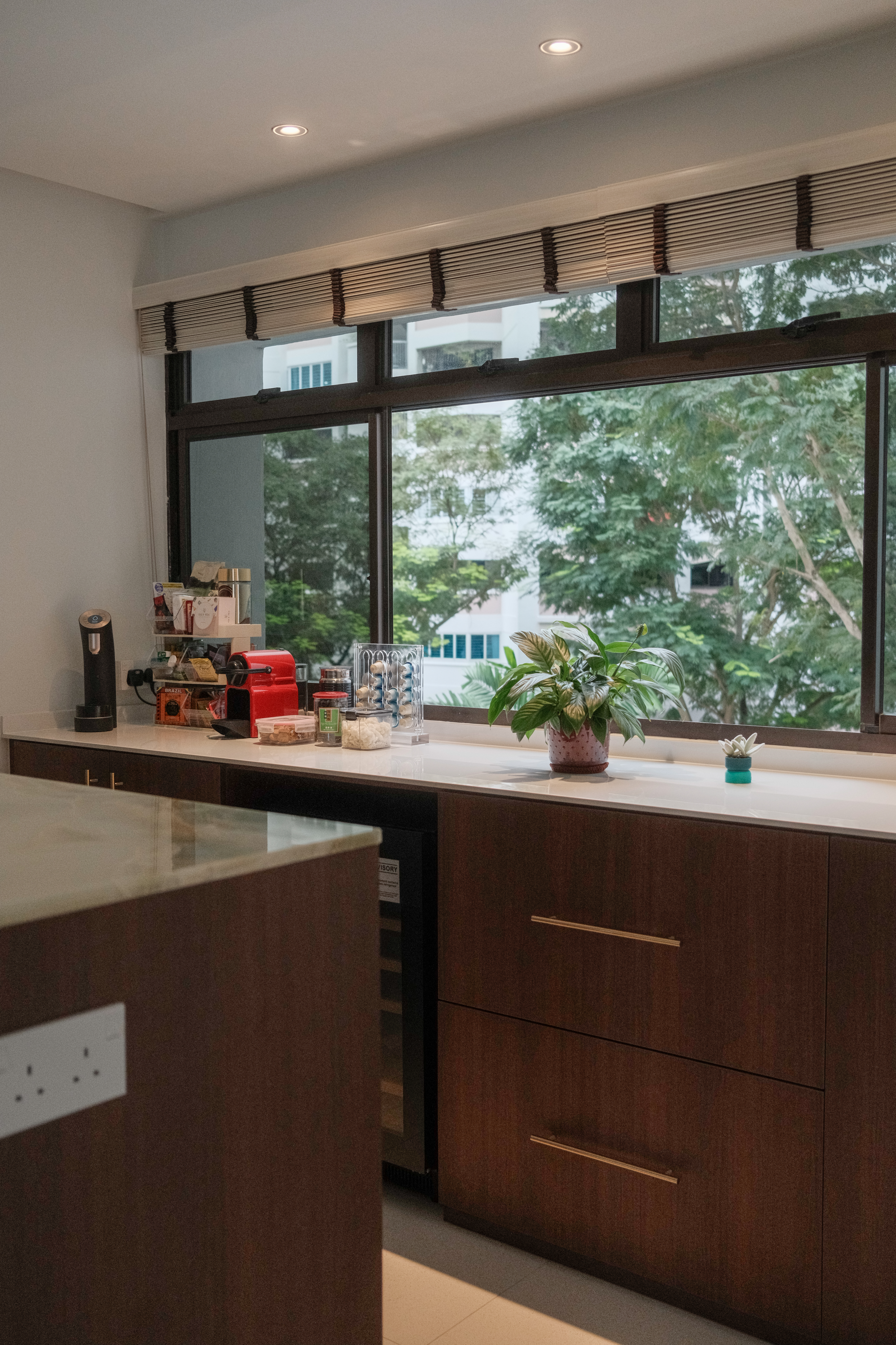 Working Around a Compact Kitchen with an Extended Dry Pantry - Large window, natural light, indoor plants, modern kitchen