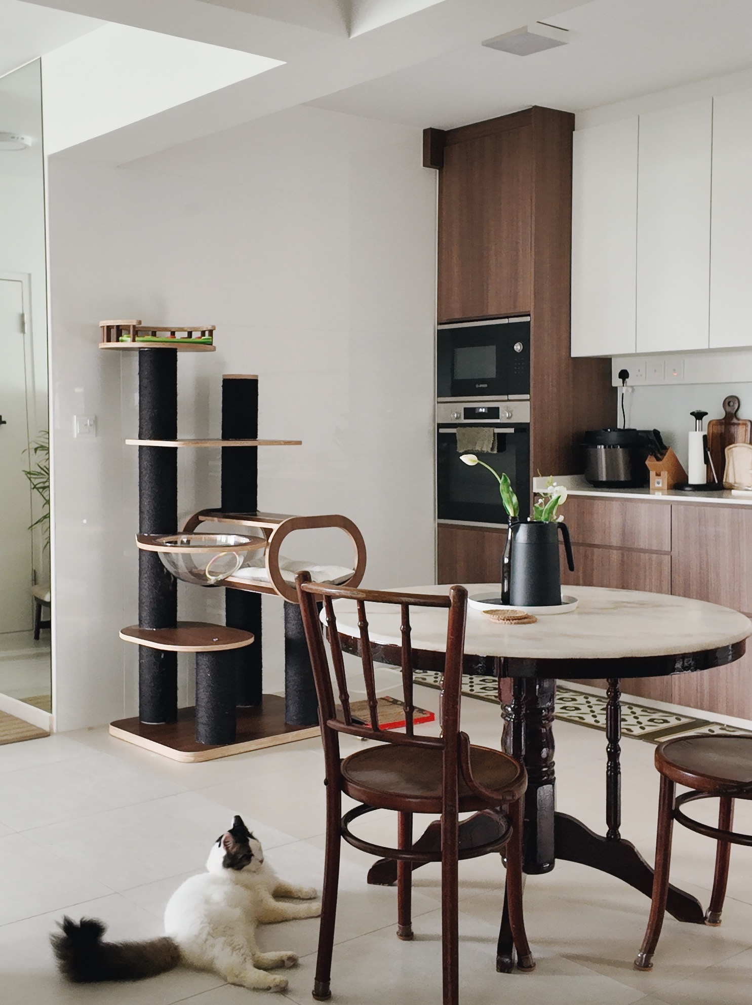 Inside our kopitiam-inspired cozy kitchen  - modern kitchen, cozy dining area, wooden furniture, cat tree, black cat, round