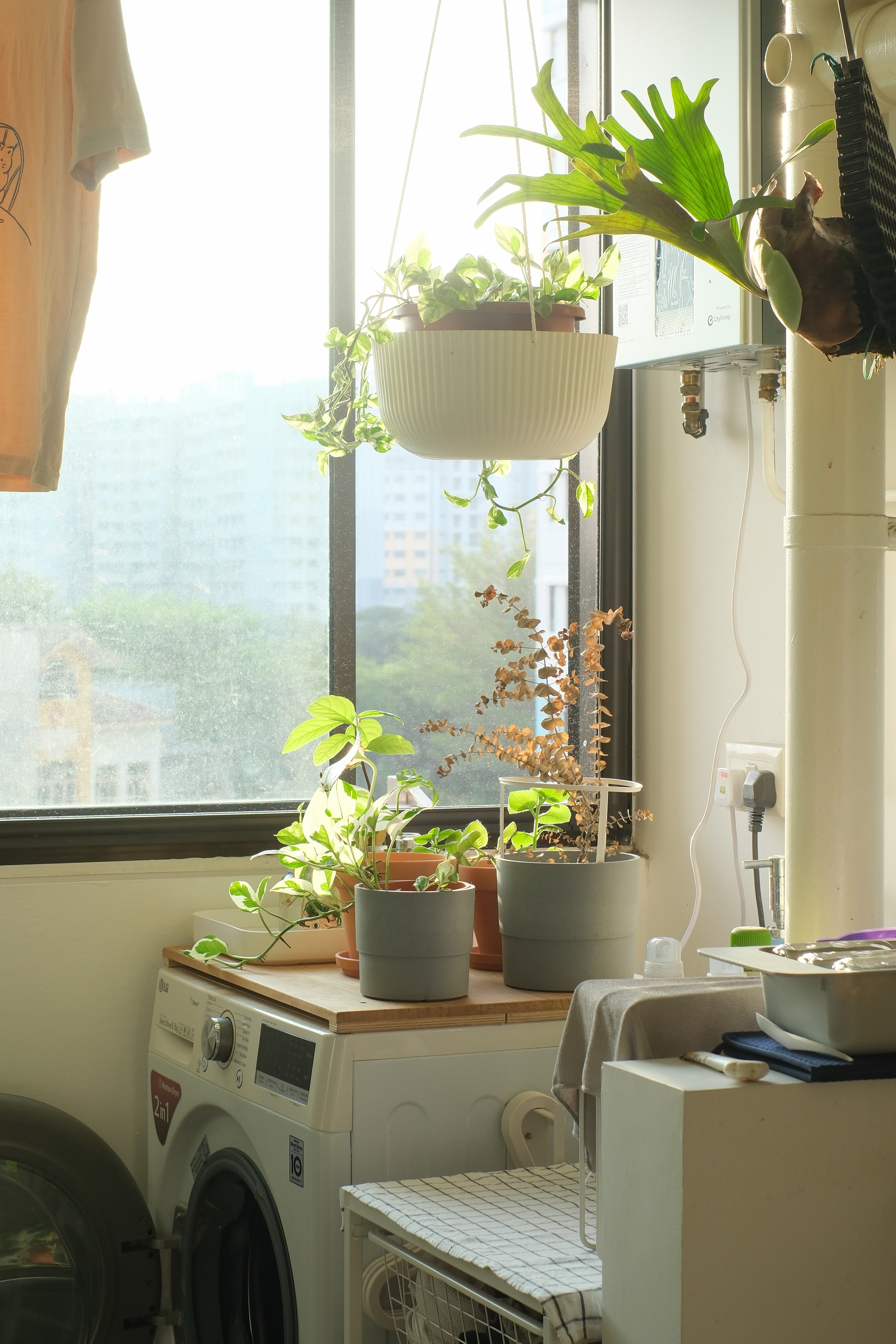 Clean and Functional: A Kitchen Designed with Smart Storage Solutions - sunlight streaming through window, green plants