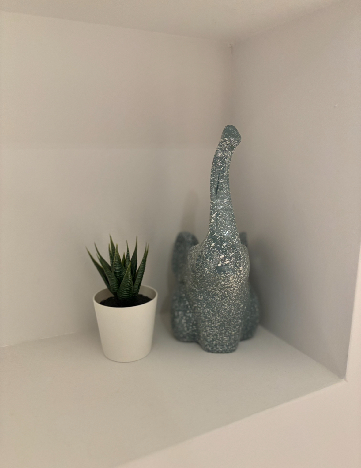 Before and After: Functional Entryway, Maximising Space - vibrant green succulent plant in white pot, modern abstract ceramic
