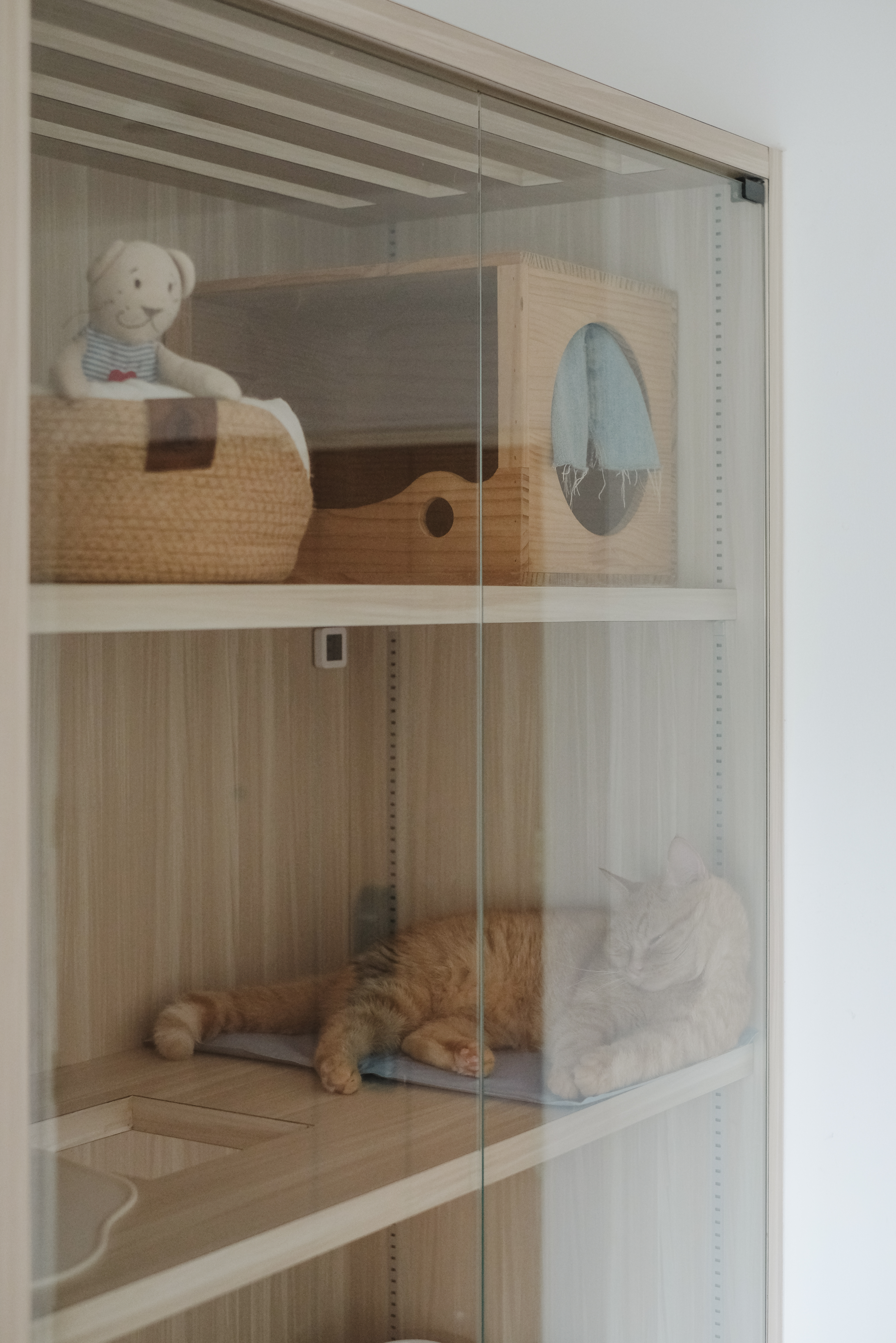 Japandi-HDB-Home-with-Unblocked-Views:-Renovated-for-Just-$15K!