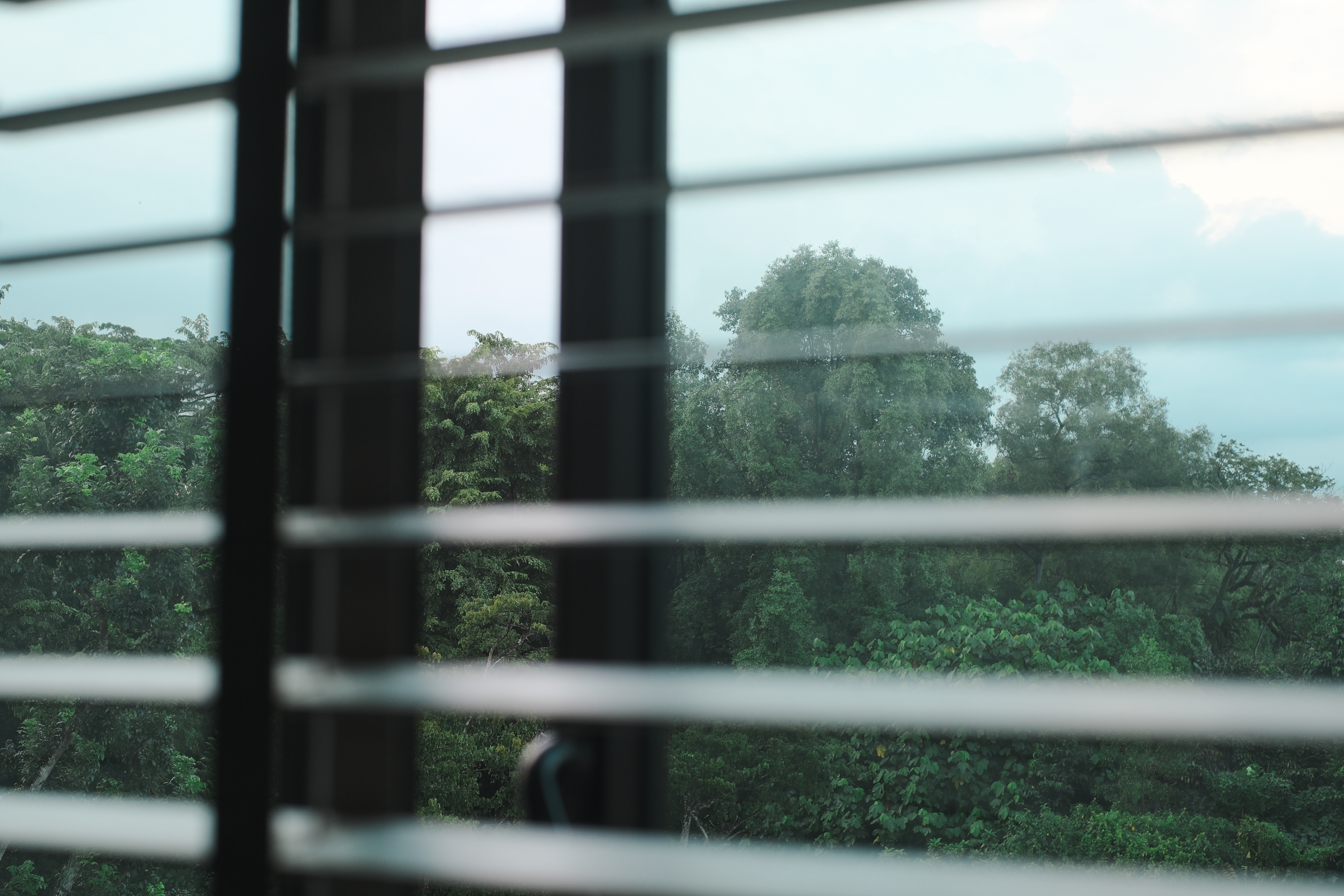 Japandi HDB Home with Unblocked Views: Renovated for Just $15K! - window blinds, green foliage, trees, nature view, outdoor