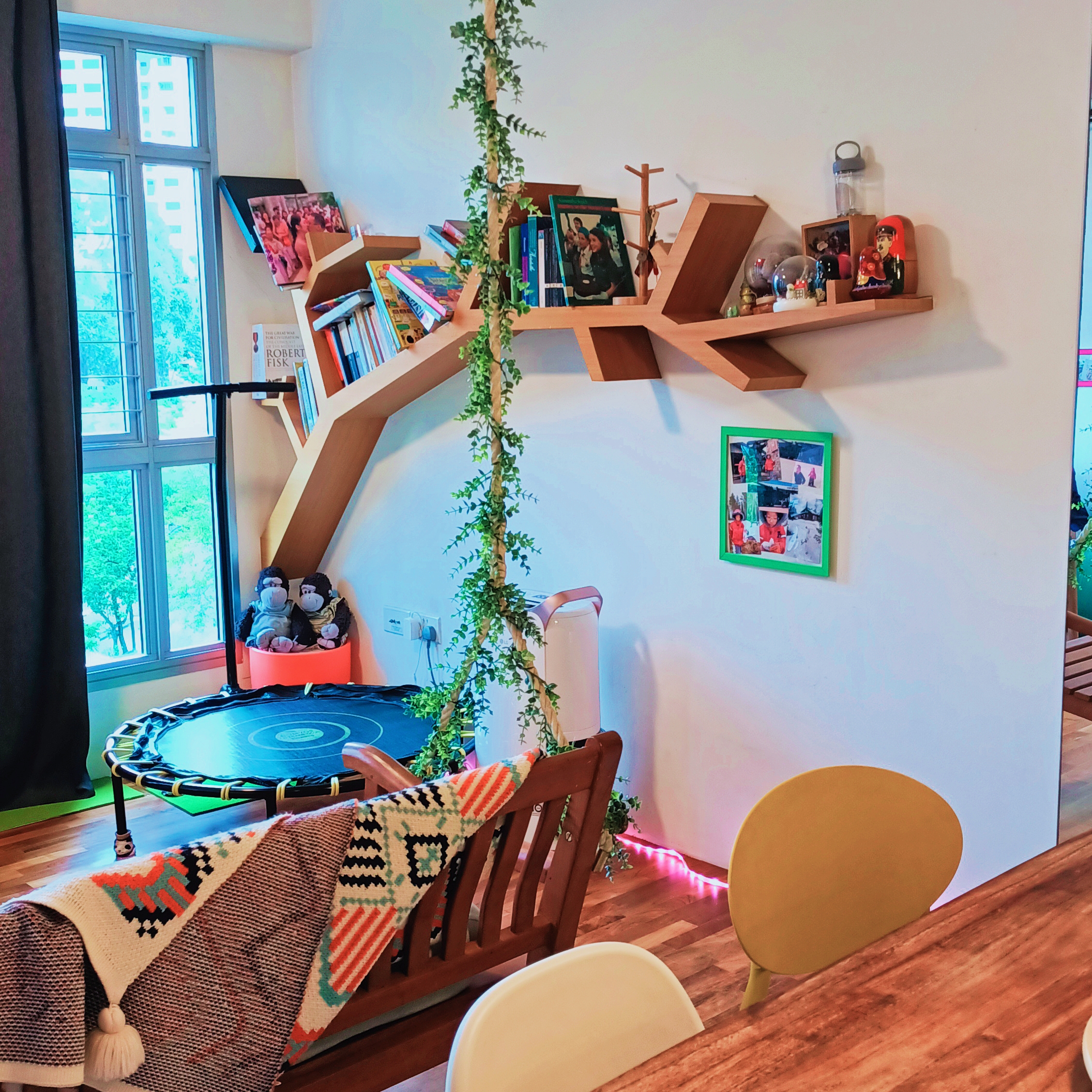 26K Cozy Rustic Home with Swing and Study Corridor - Wooden bookshelf, green plant, colorful books, framed photo, trampoline