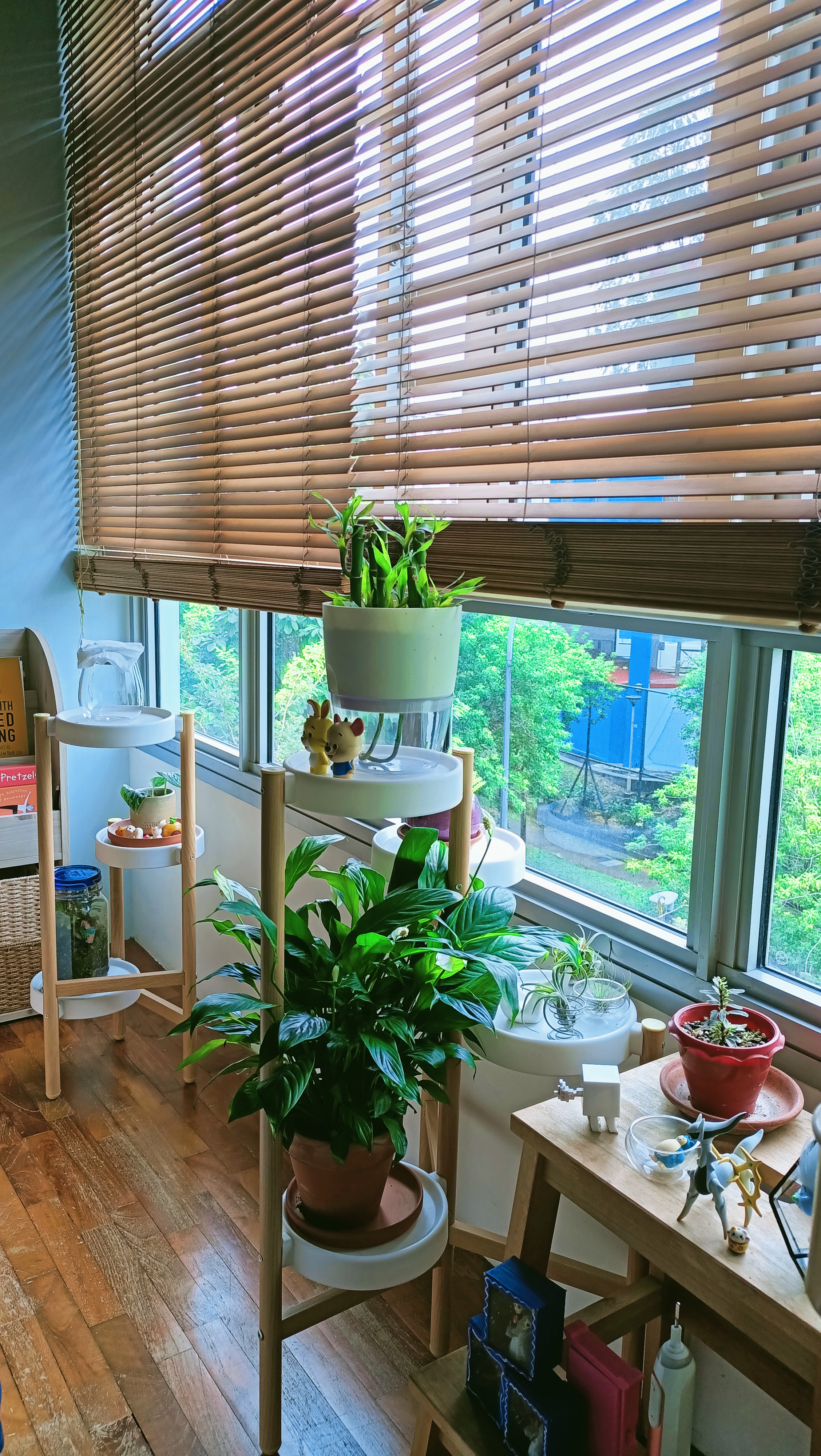 26K Cozy Rustic Home with Swing and Study Corridor - Wooden blinds, green plants, indoor setting, natural light, window view