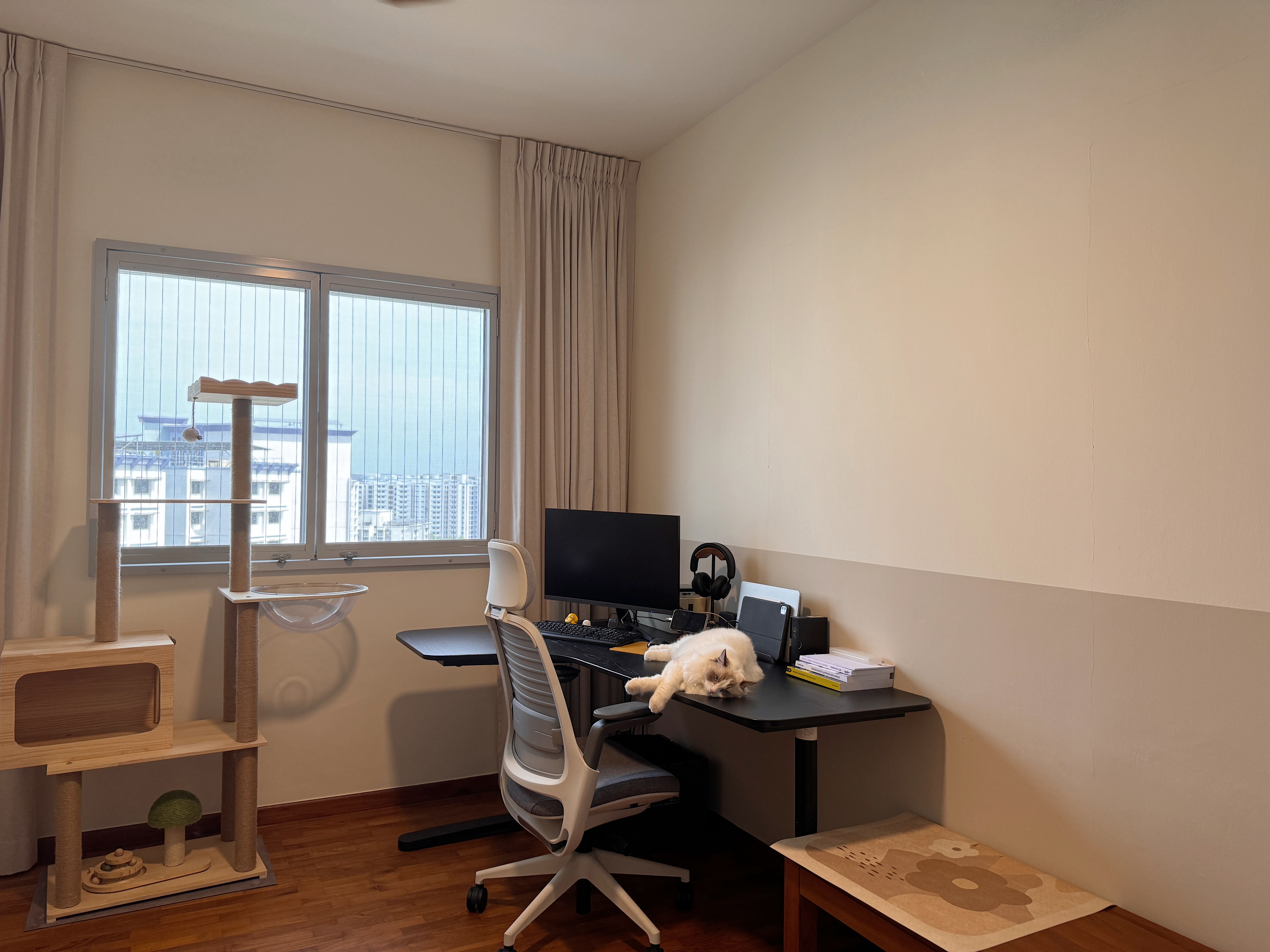 130K 5-room HDB Resale Home Tour: Warm hues, Panels, Barn door - Cat sitting on desk, computer monitor, headphones, office