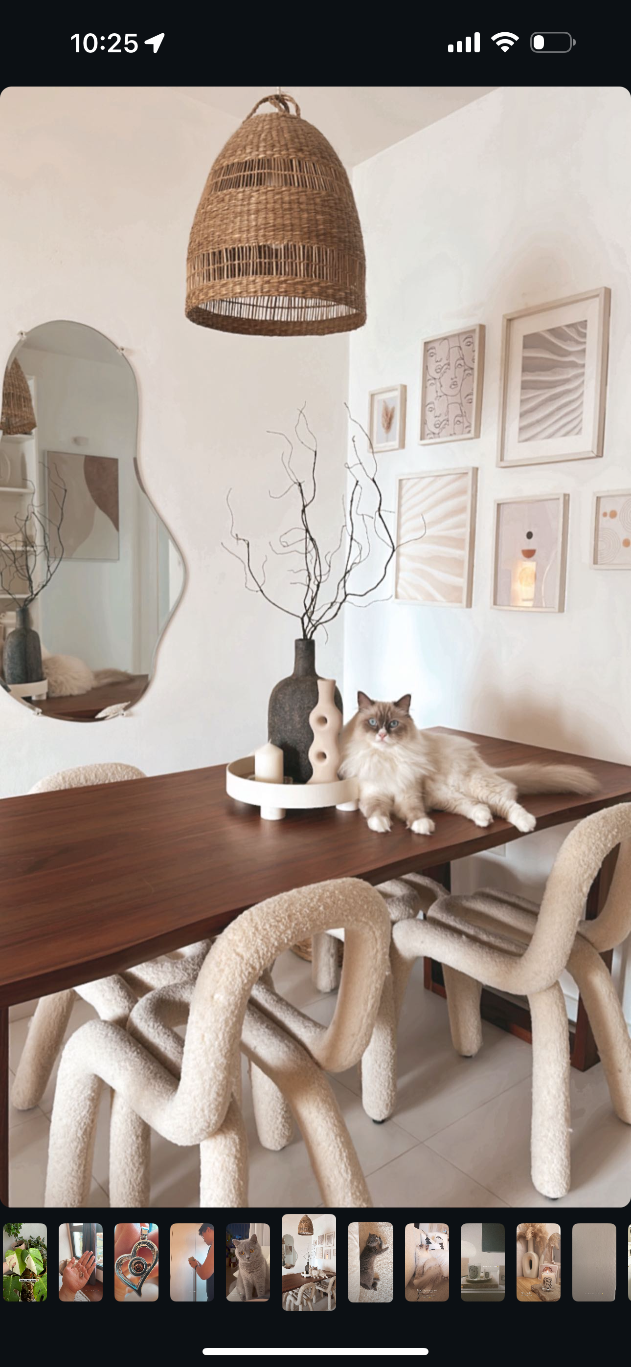 Before & After: Changing Our Dining Room Vibes One Item At A Time  - Elegant dining room with cozy cat lounging on a wooden