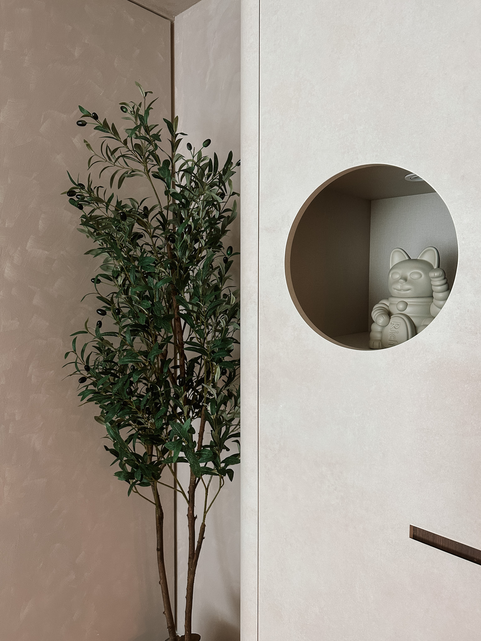 Our Cosy Entryway: Limewashed with practical storage solutions - Green leafy plant, minimalist wall, round alcove, sculptural
