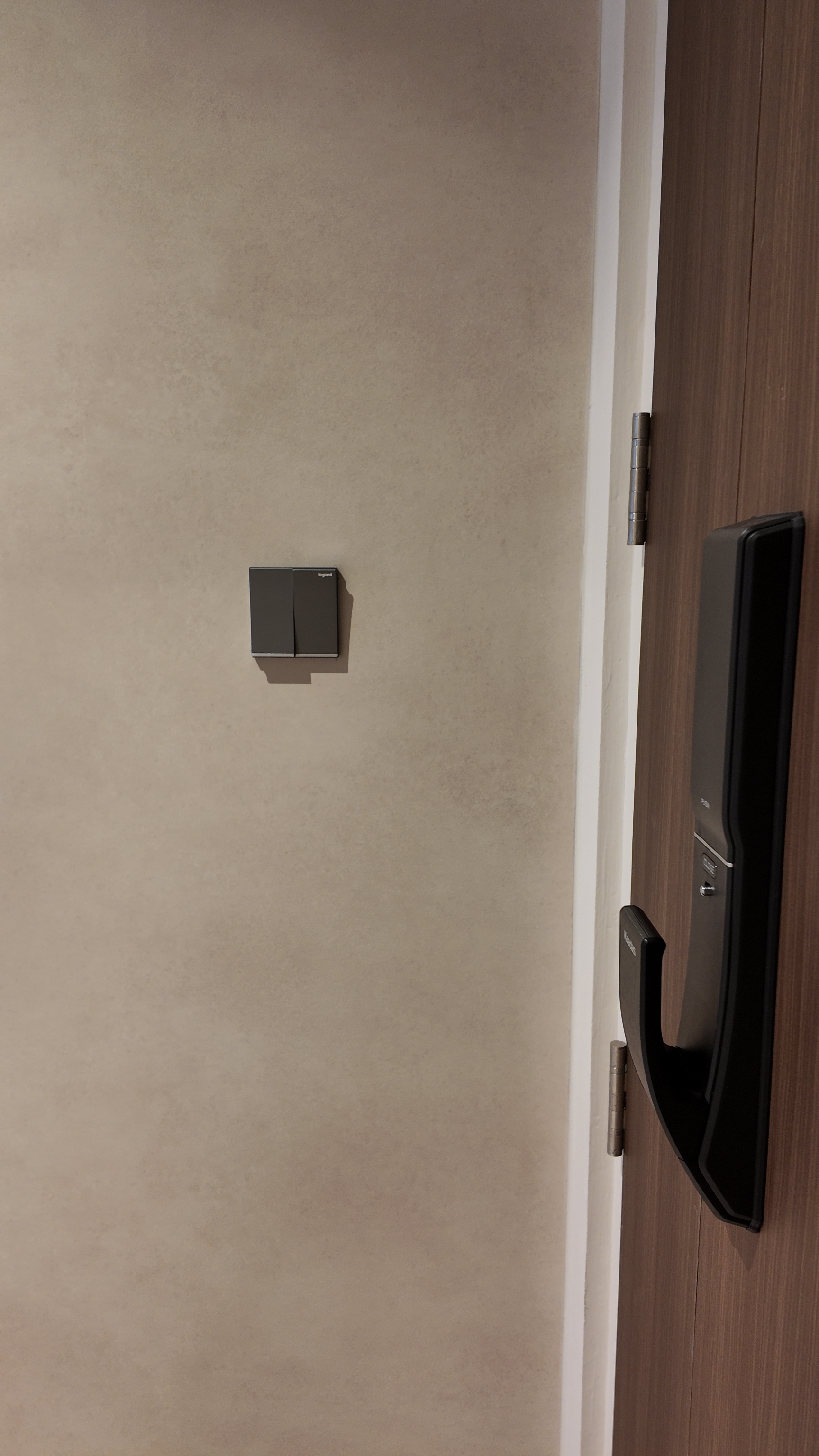 Doorbusters: Transforming Our Entryway 🚪 - Meticulous, minimalist, modern, sleek, dark, black, door handle, wooden texture