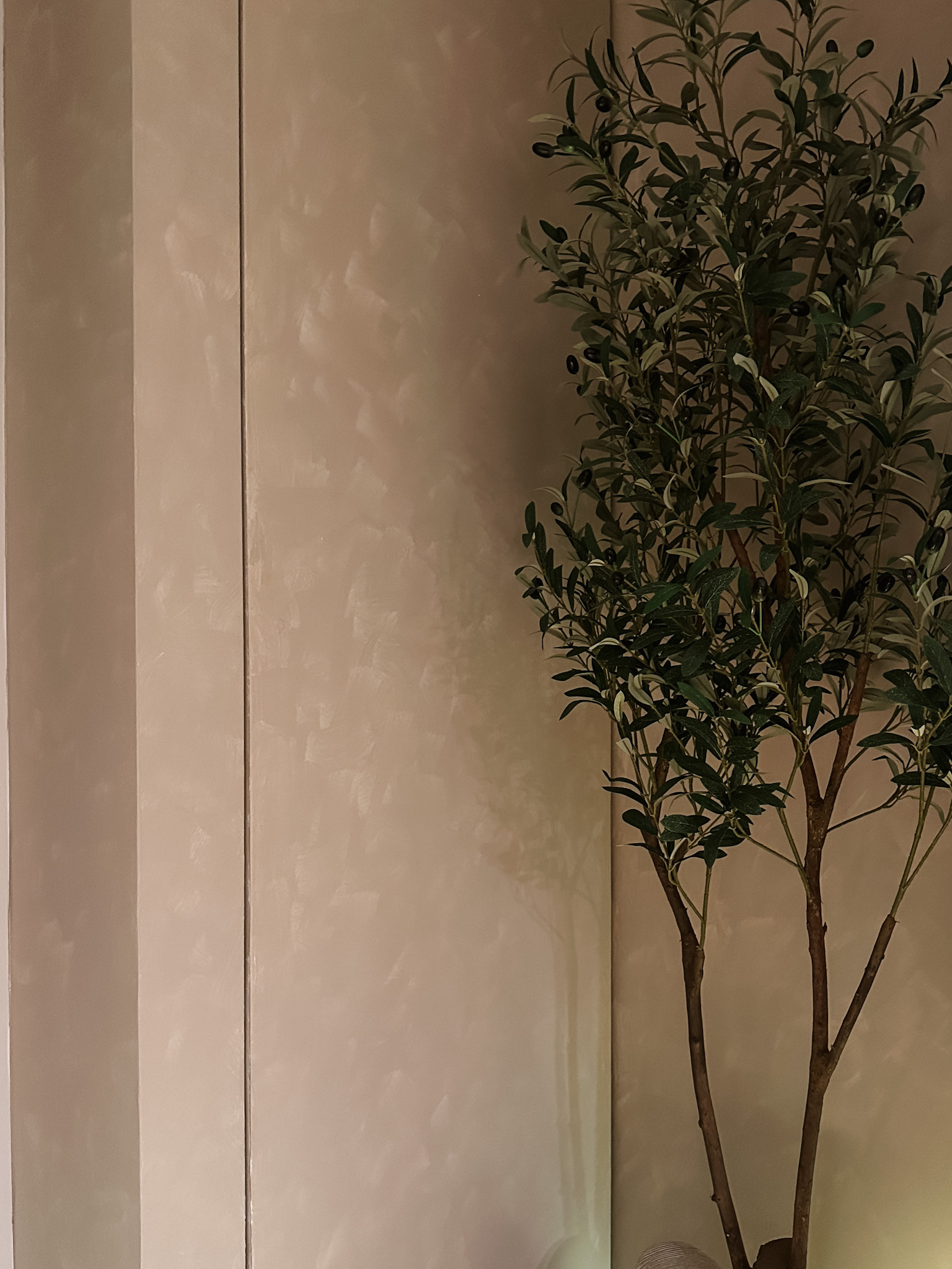 Our Cosy Entryway: Limewashed with practical storage solutions - Mediterranean wall, indoor setting, indoor plants,