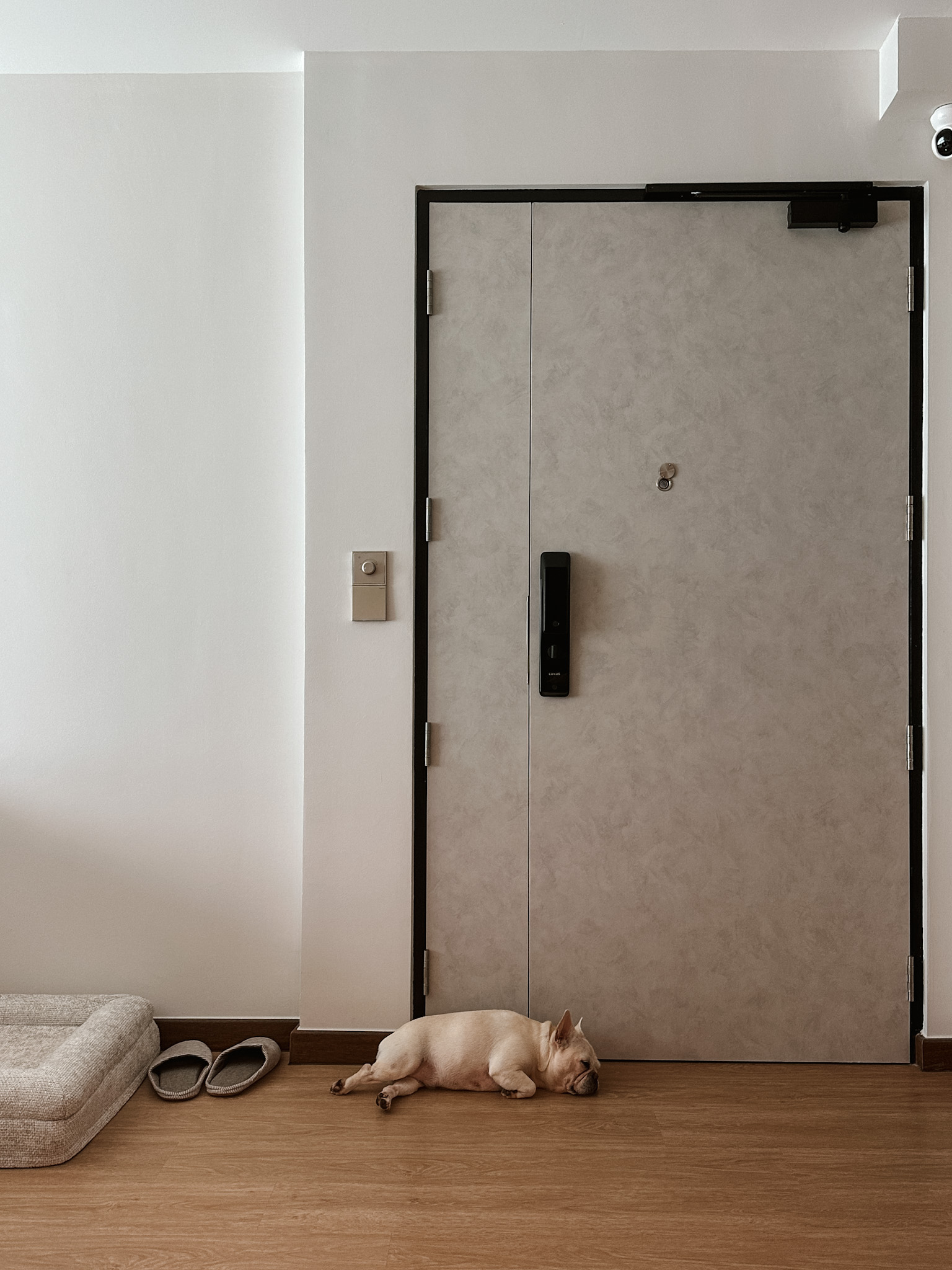 Our Cosy Entryway: Limewashed with practical storage solutions - Modern minimalist interior, beige dog lying down, light