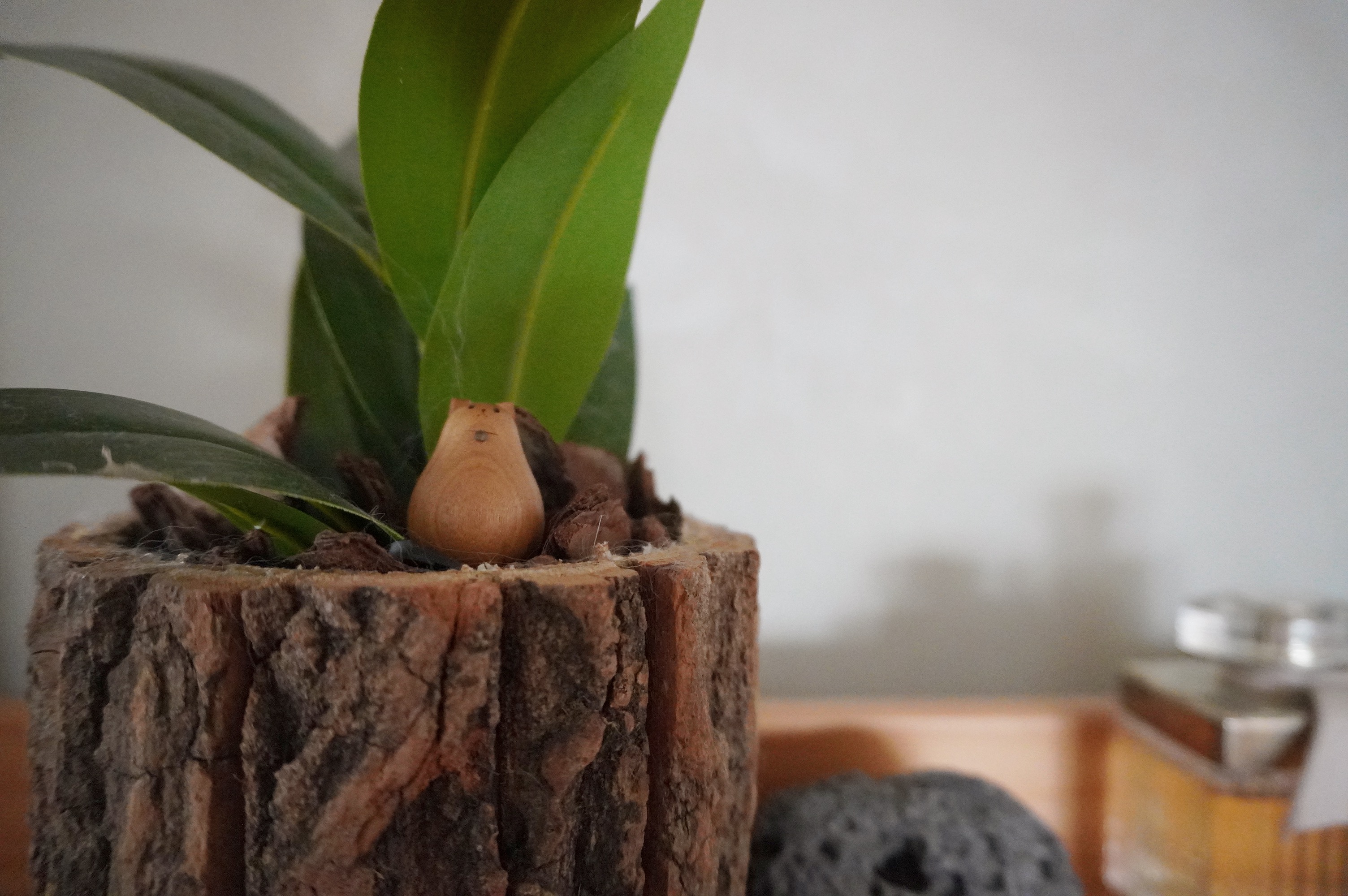 Earthy-Entryway-with-Pops-of-Color:-Ditching-the-built-in-shoe-cabinet