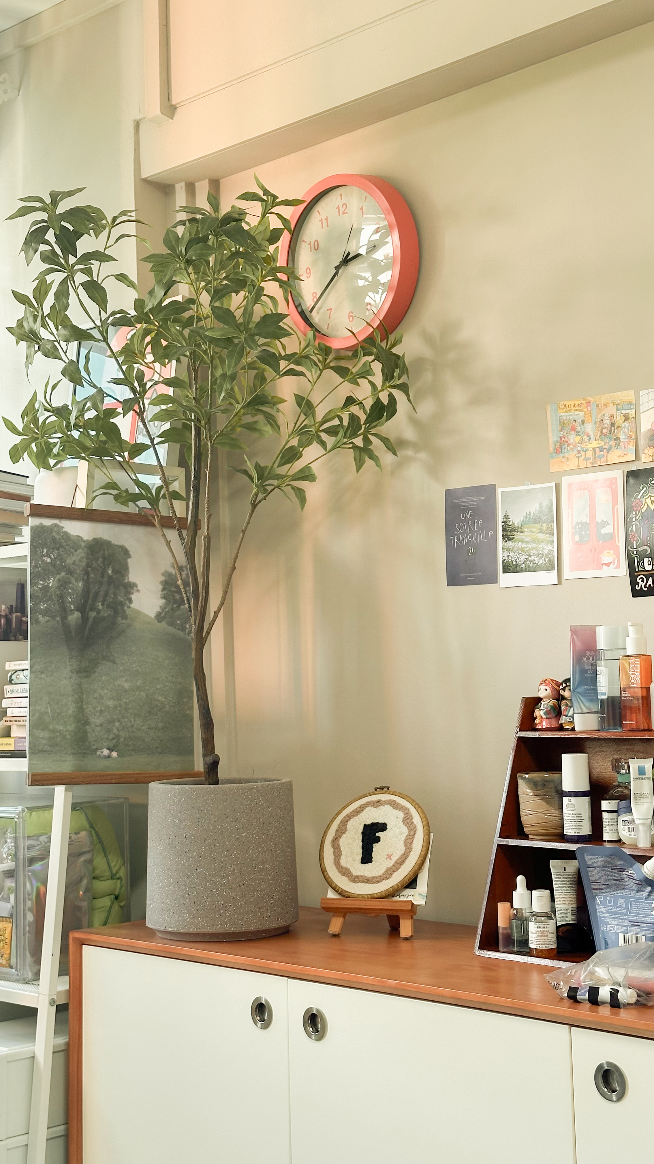 3 simple steps to create your ideal and user-friendly space - Lush green plant in a gray pot, positioned on a wooden