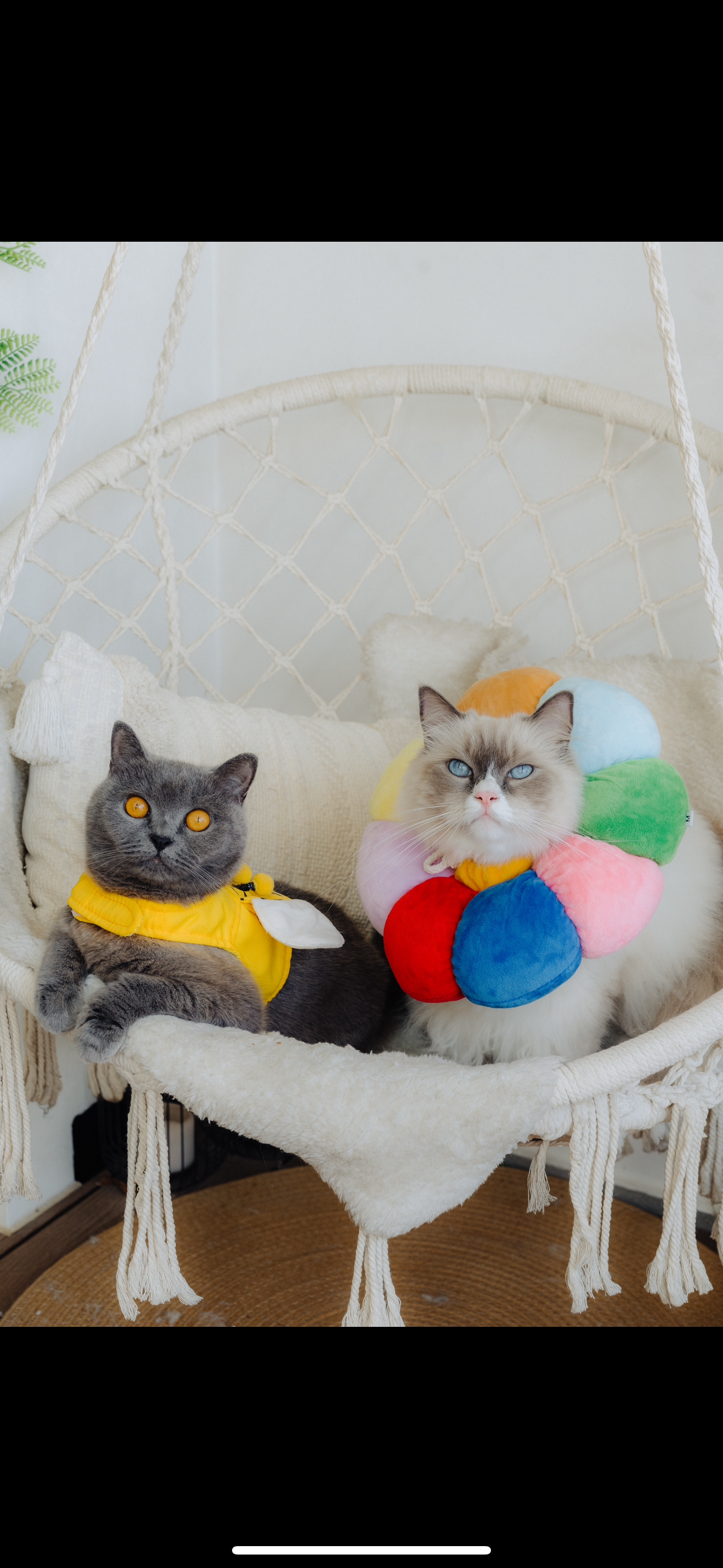 Lighting Tips For Creating A Cosy Home: Don’t Use The Big Lights! ✨