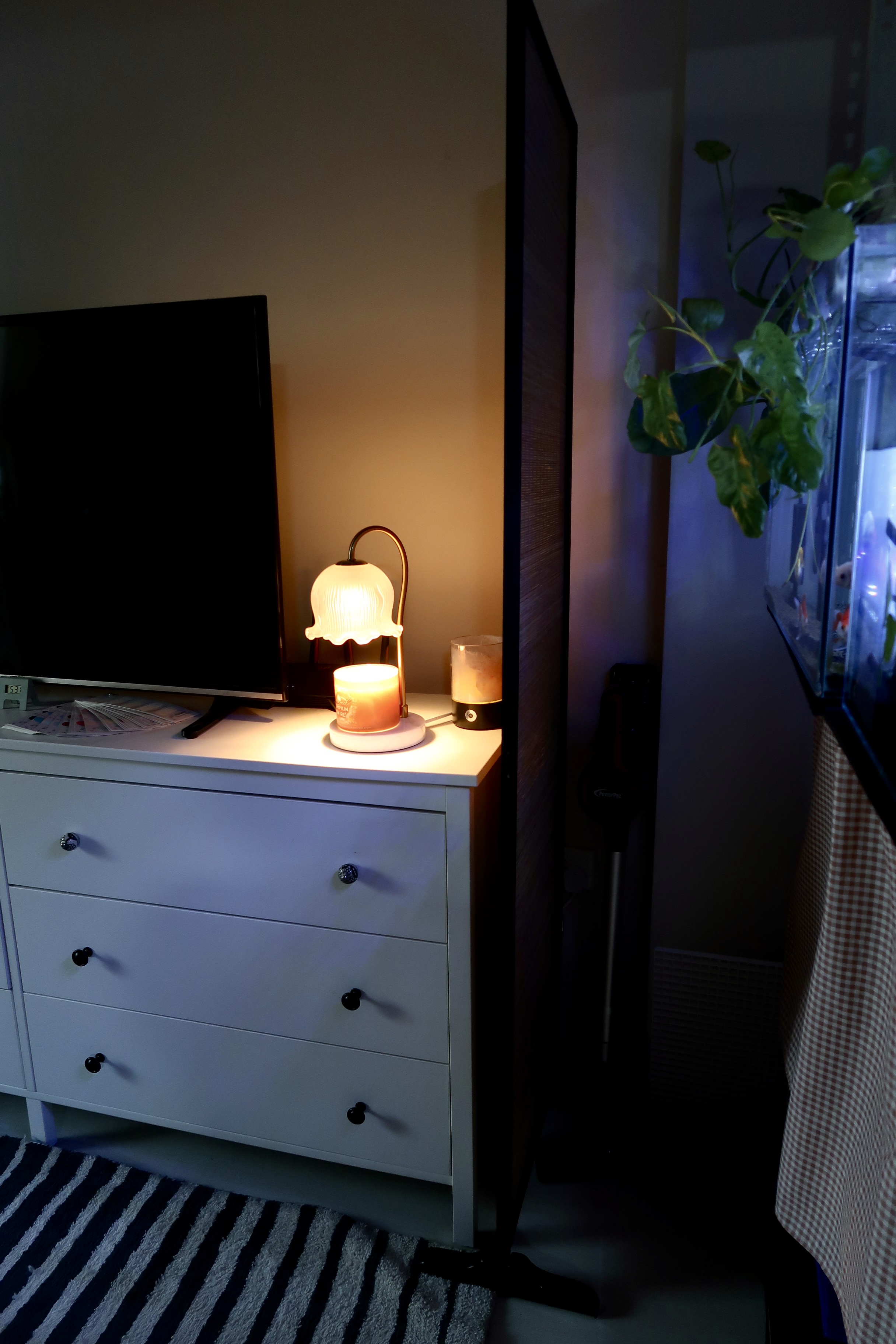 Warm & Practical Lighting for Every Space 🔆