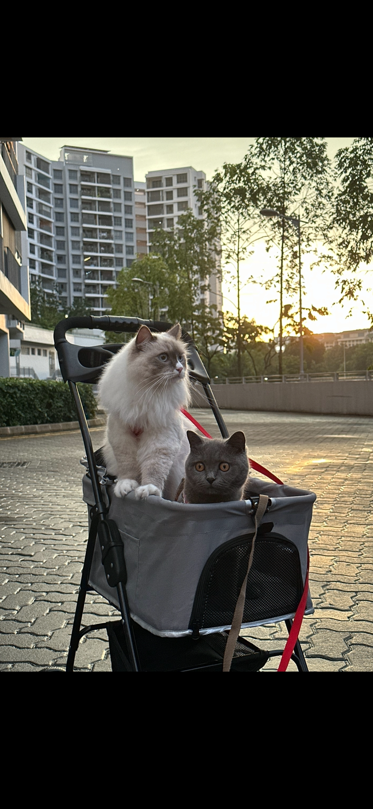 Our-Journey-To-Being-Homeowners:-We-Got-The-Last-Unit!🥳🙌🏻