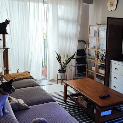 Customer home photo 6: Renders vs. Reality: What My Home Really Looks Like