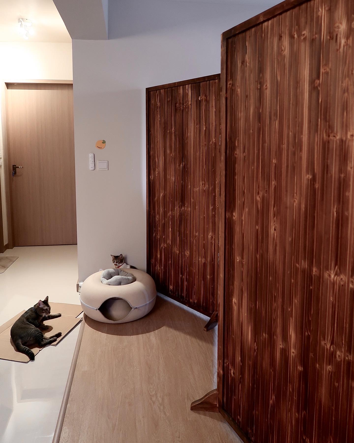 Pet-Friendly Furniture and the Convenience of Automating Cat Care
