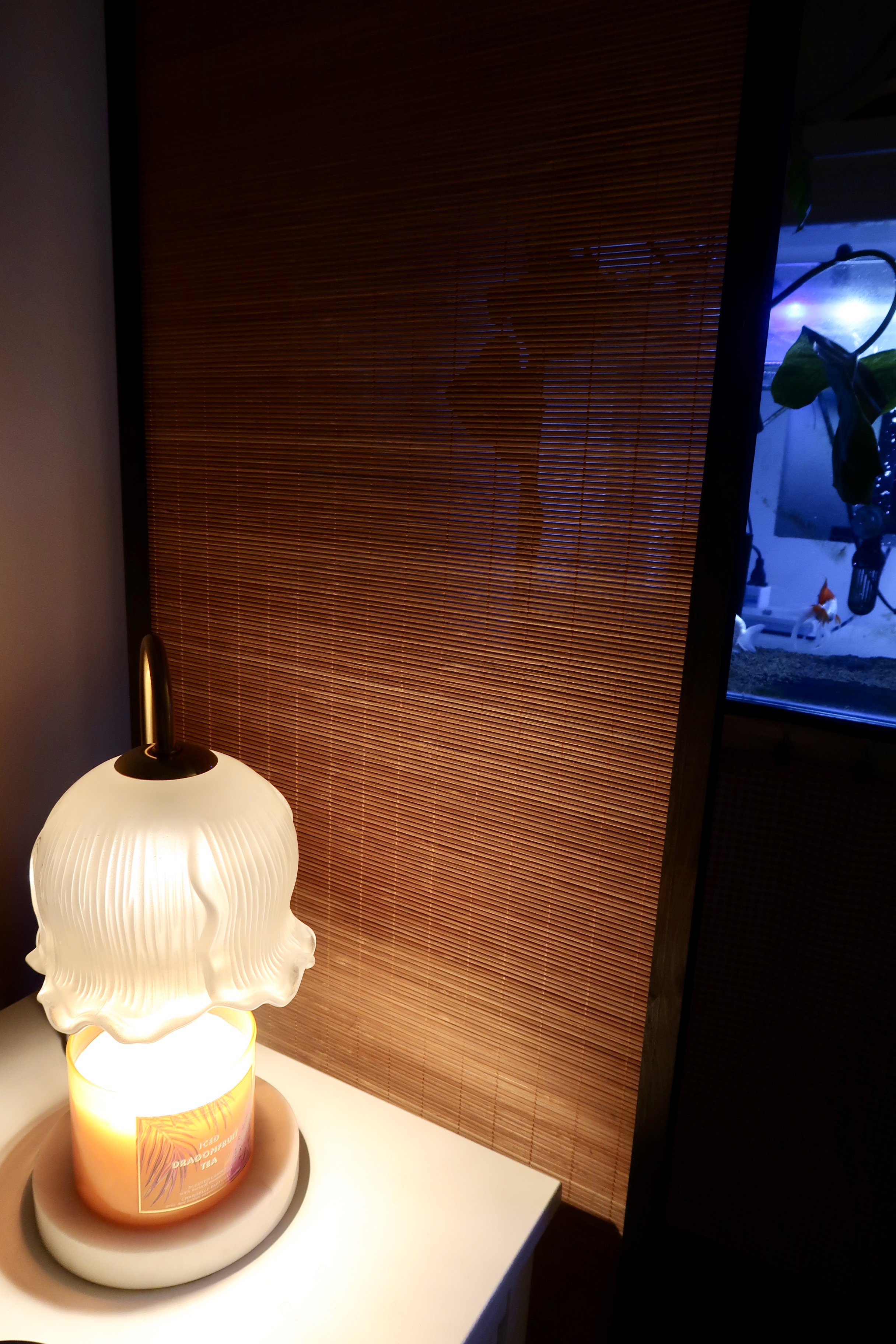 Pet-Friendly Furniture and the Convenience of Automating Cat Care