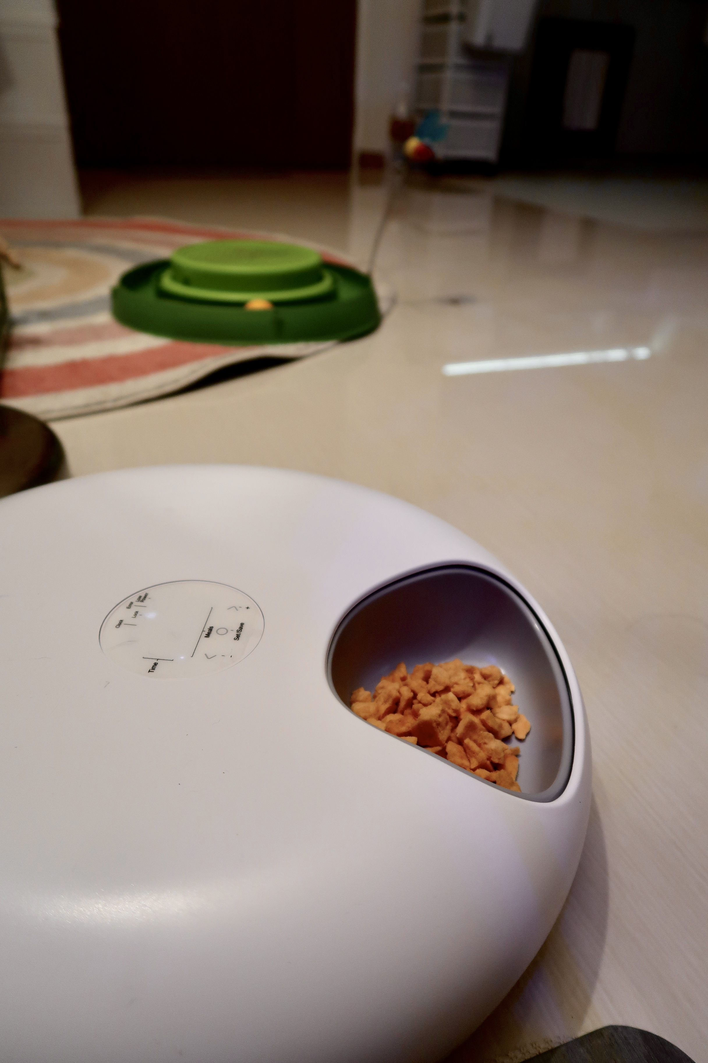 Pet-Friendly Furniture and the Convenience of Automating Cat Care