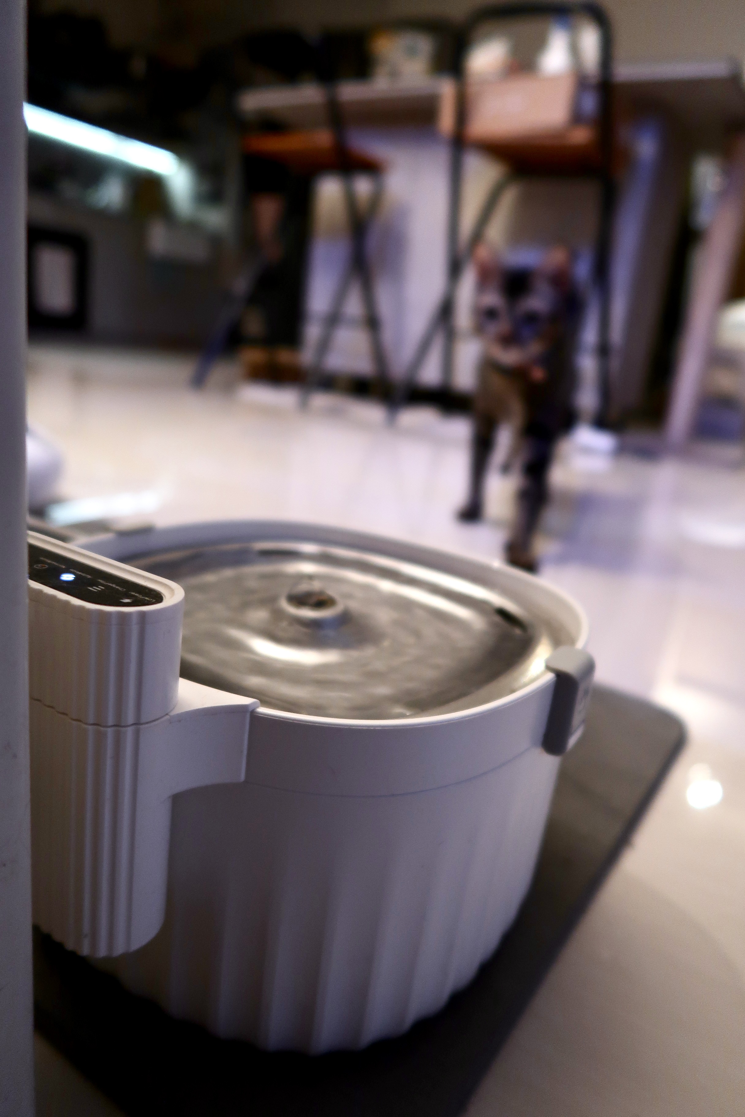 Pet-Friendly Furniture and the Convenience of Automating Cat Care